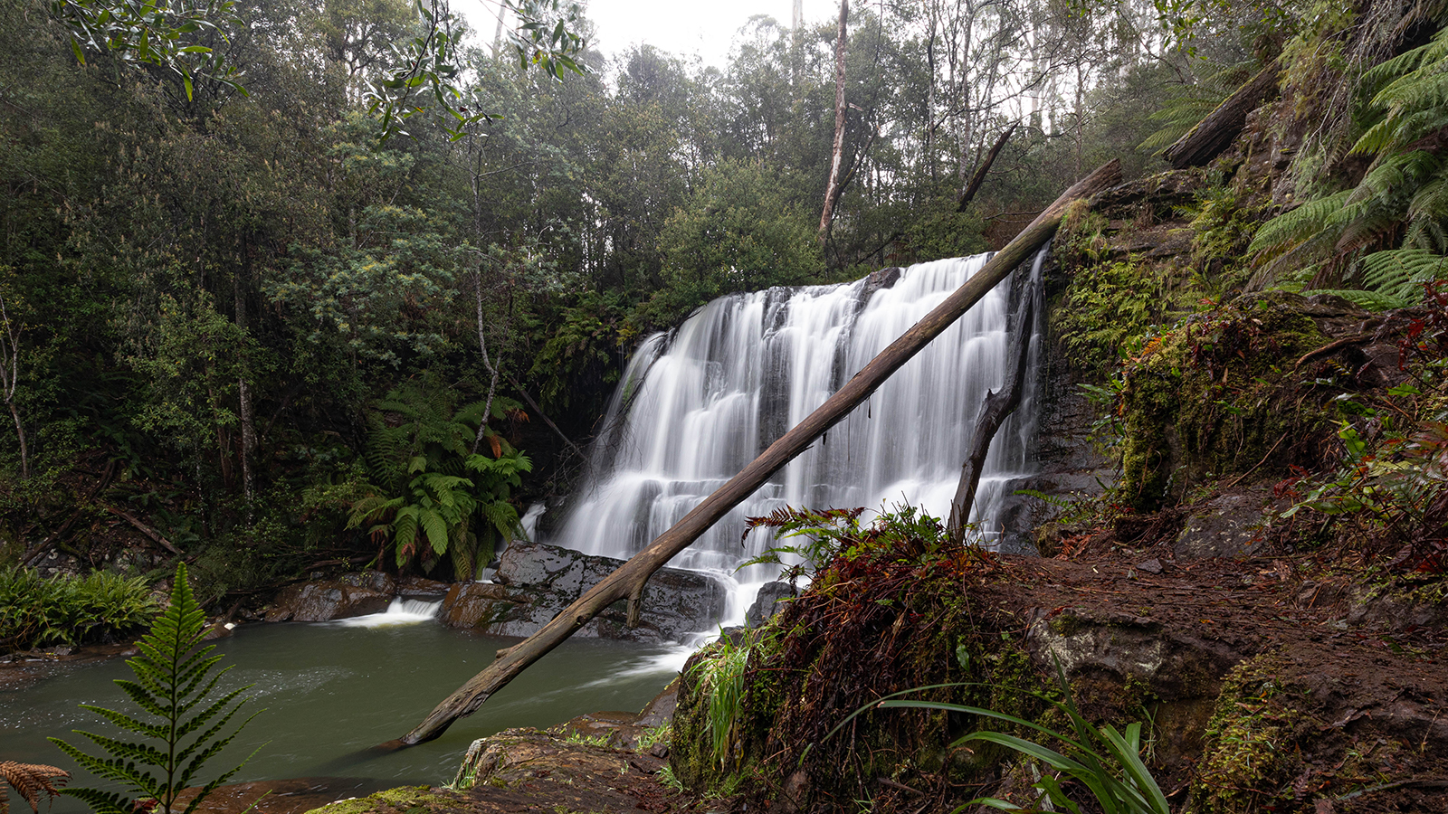 Forth Falls