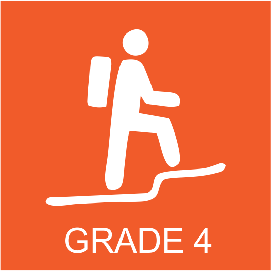 Grade 4 Hike