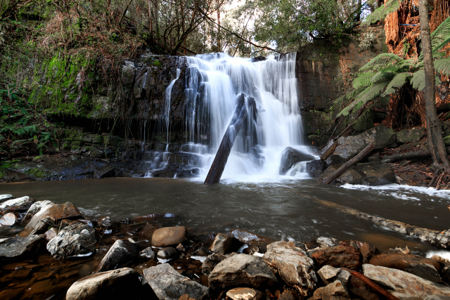 Lilydale Falls