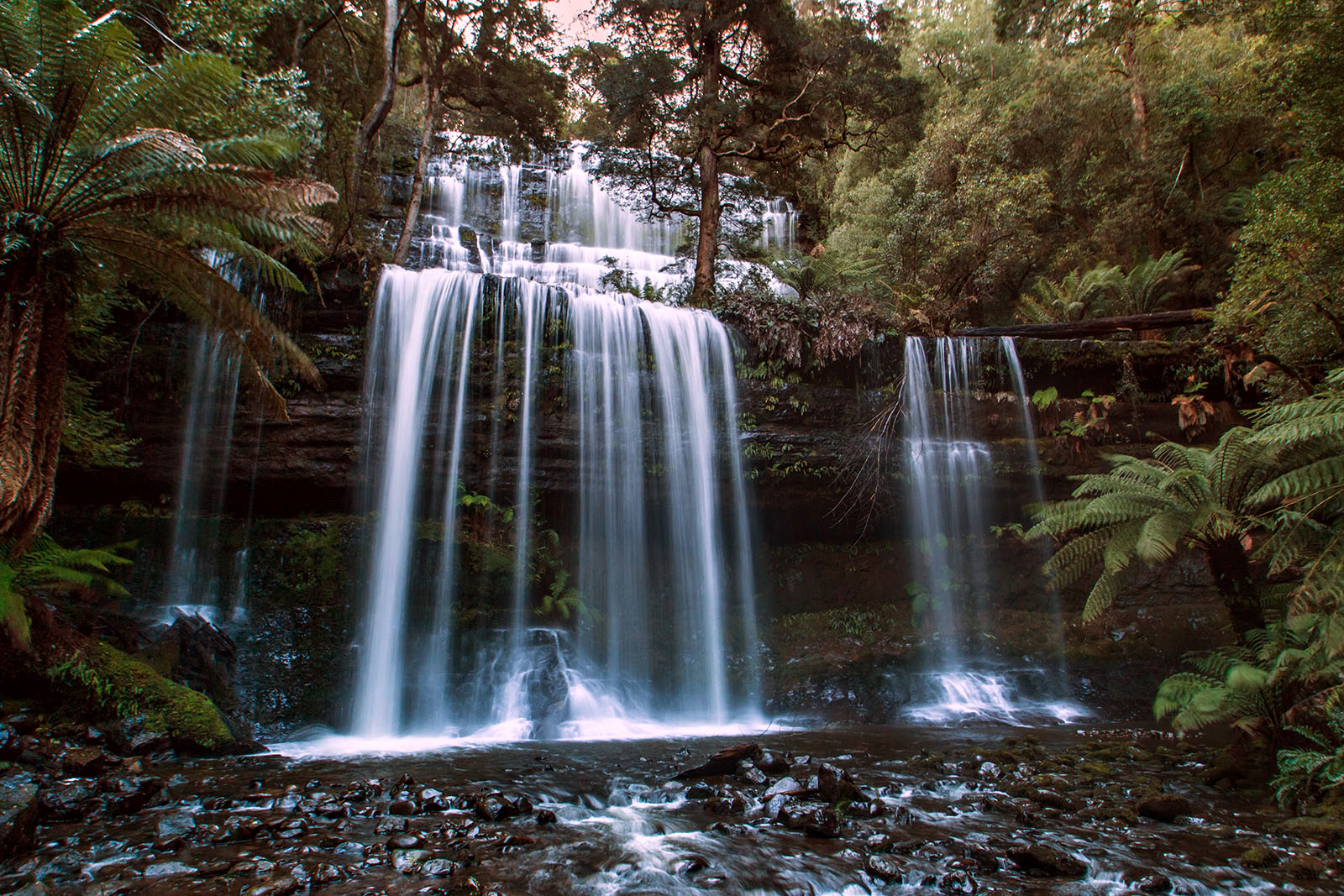 Russell Falls at dusk