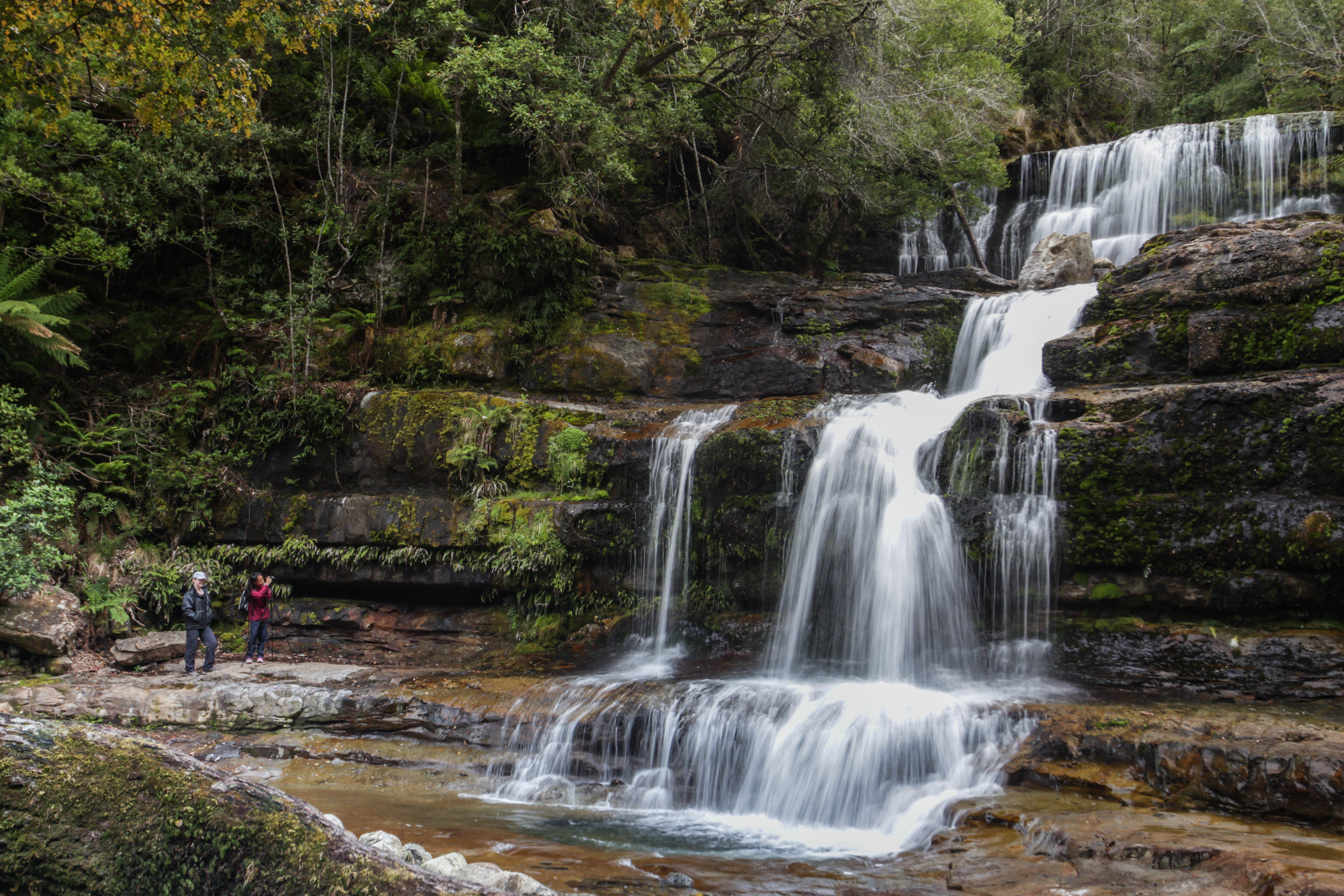 Victoria Falls, commonly referred to as Liffey Falls