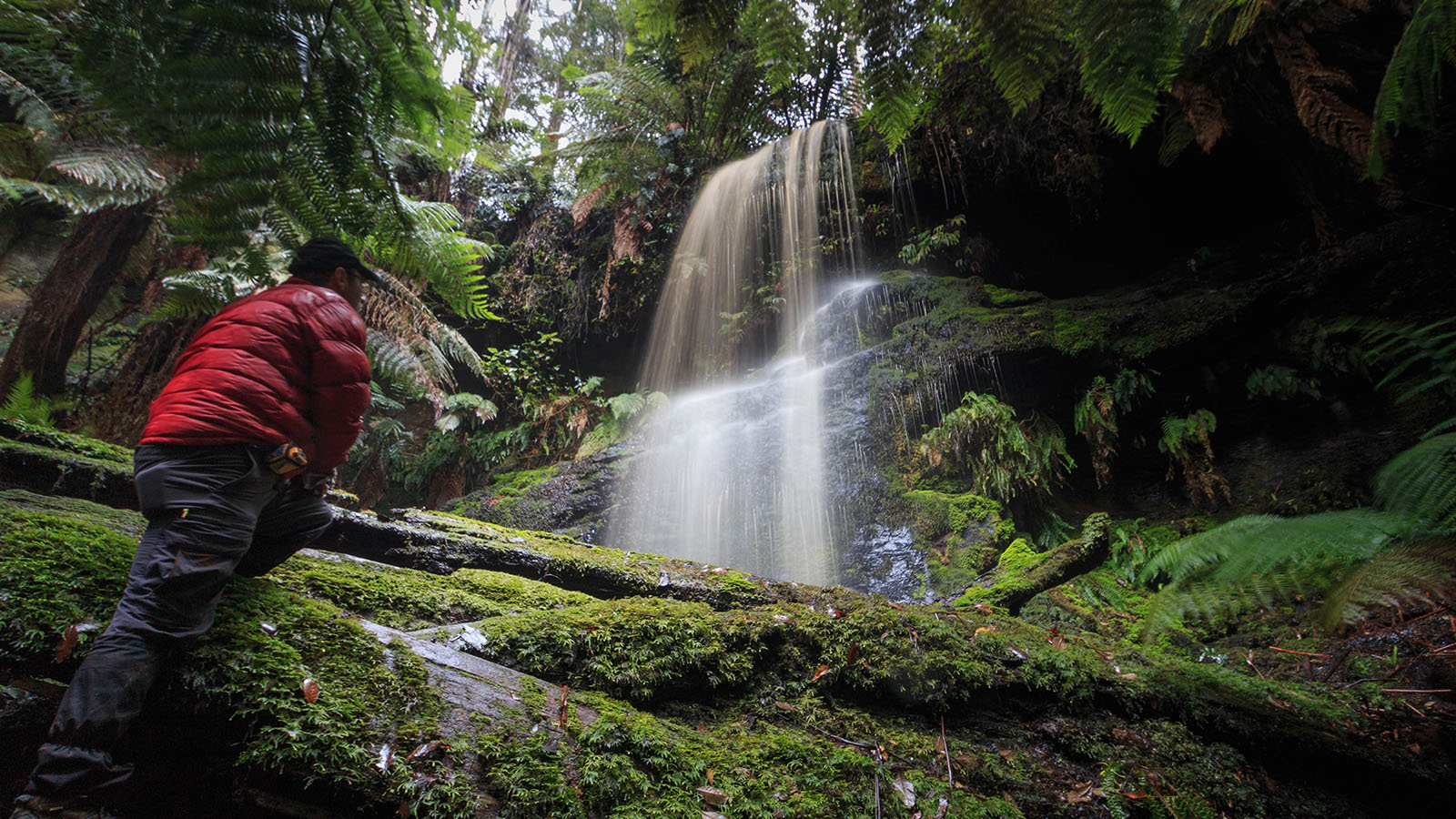 Fairy Falls