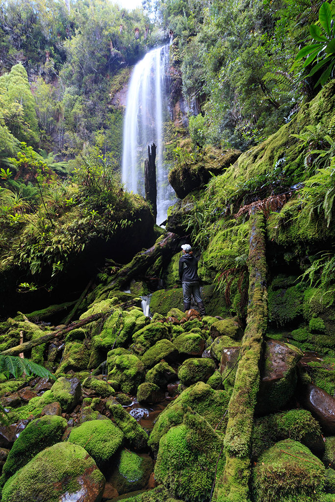 Creekton Falls