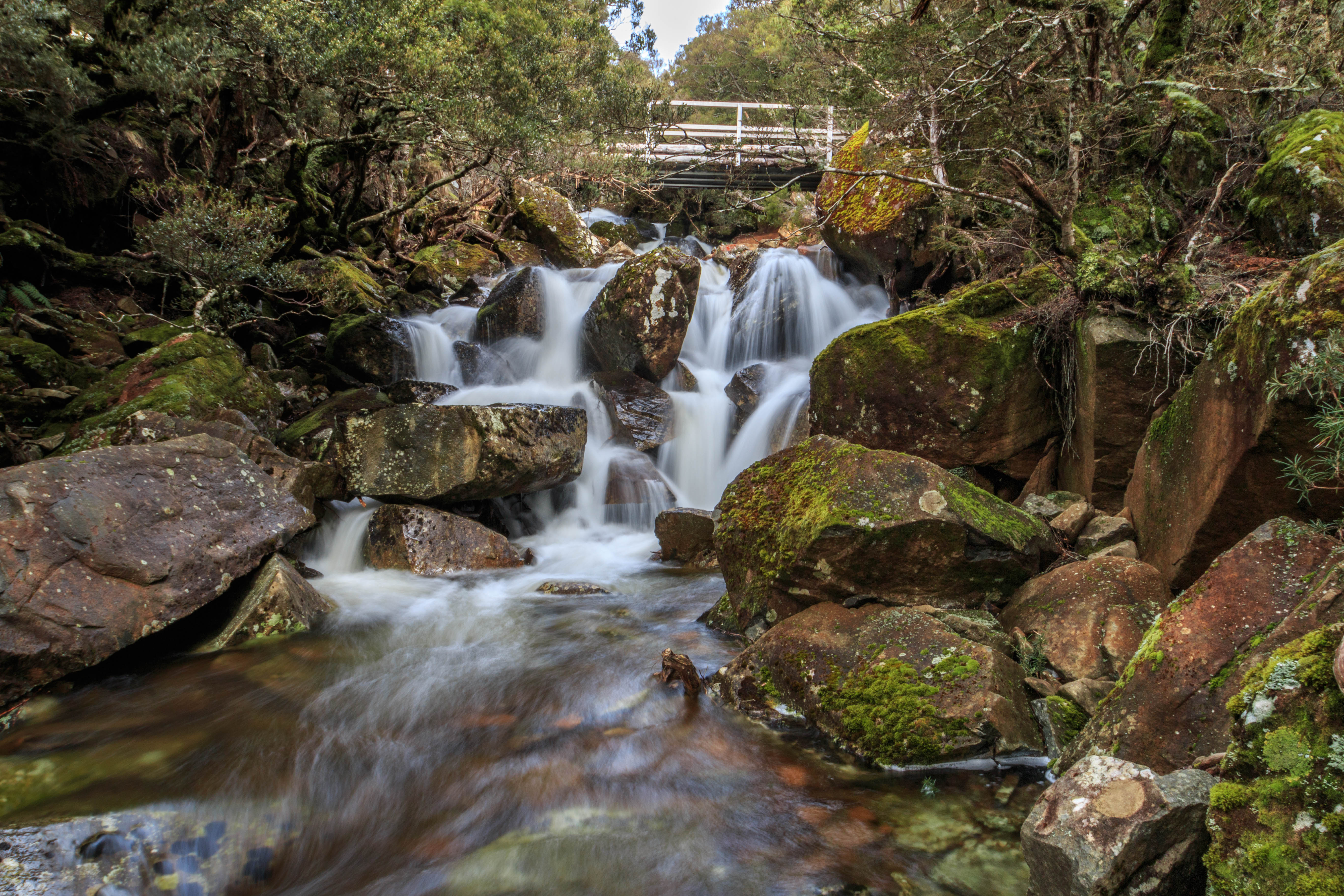 Burnies Creek