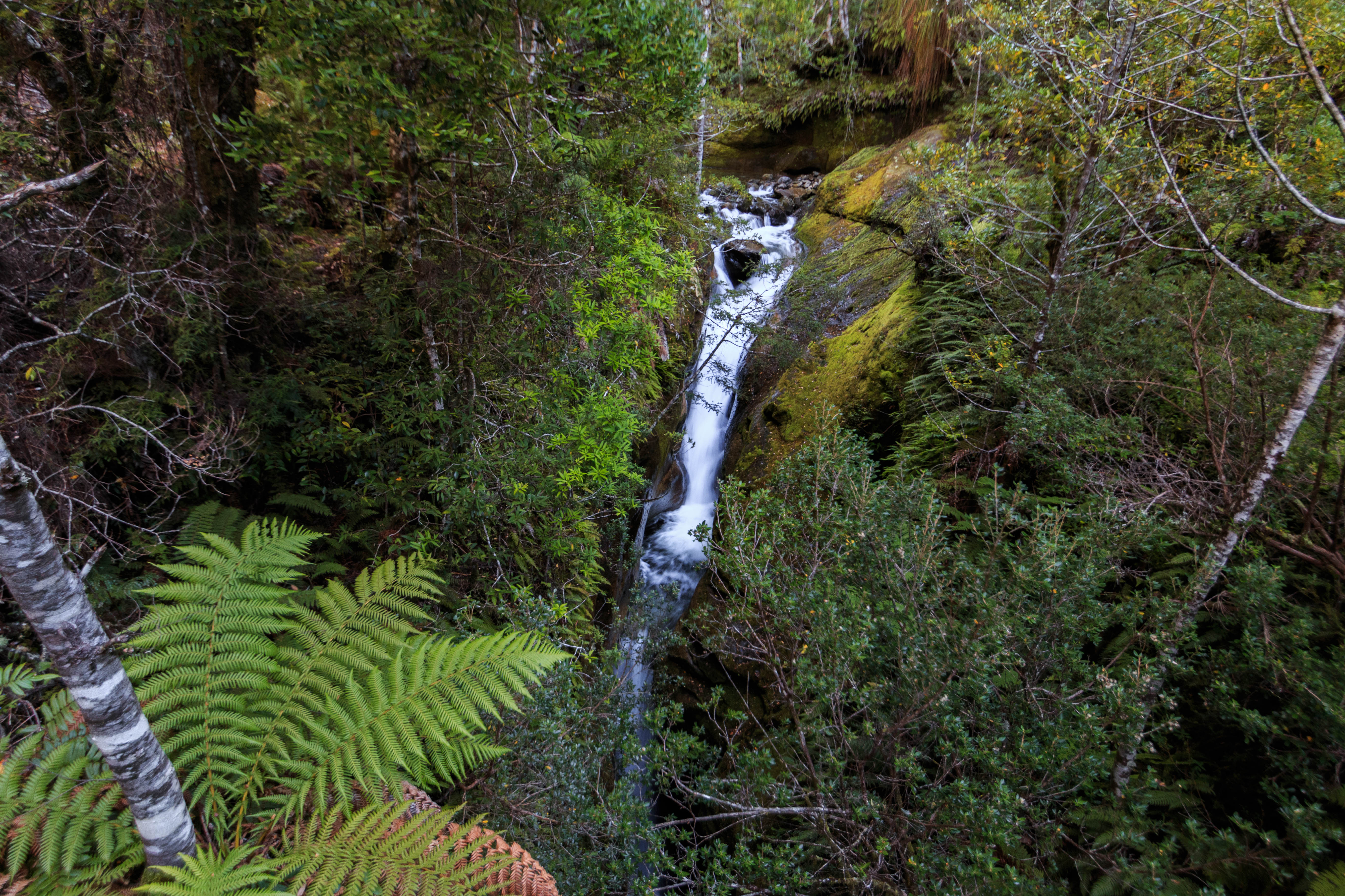 Chasm Falls (the real one)