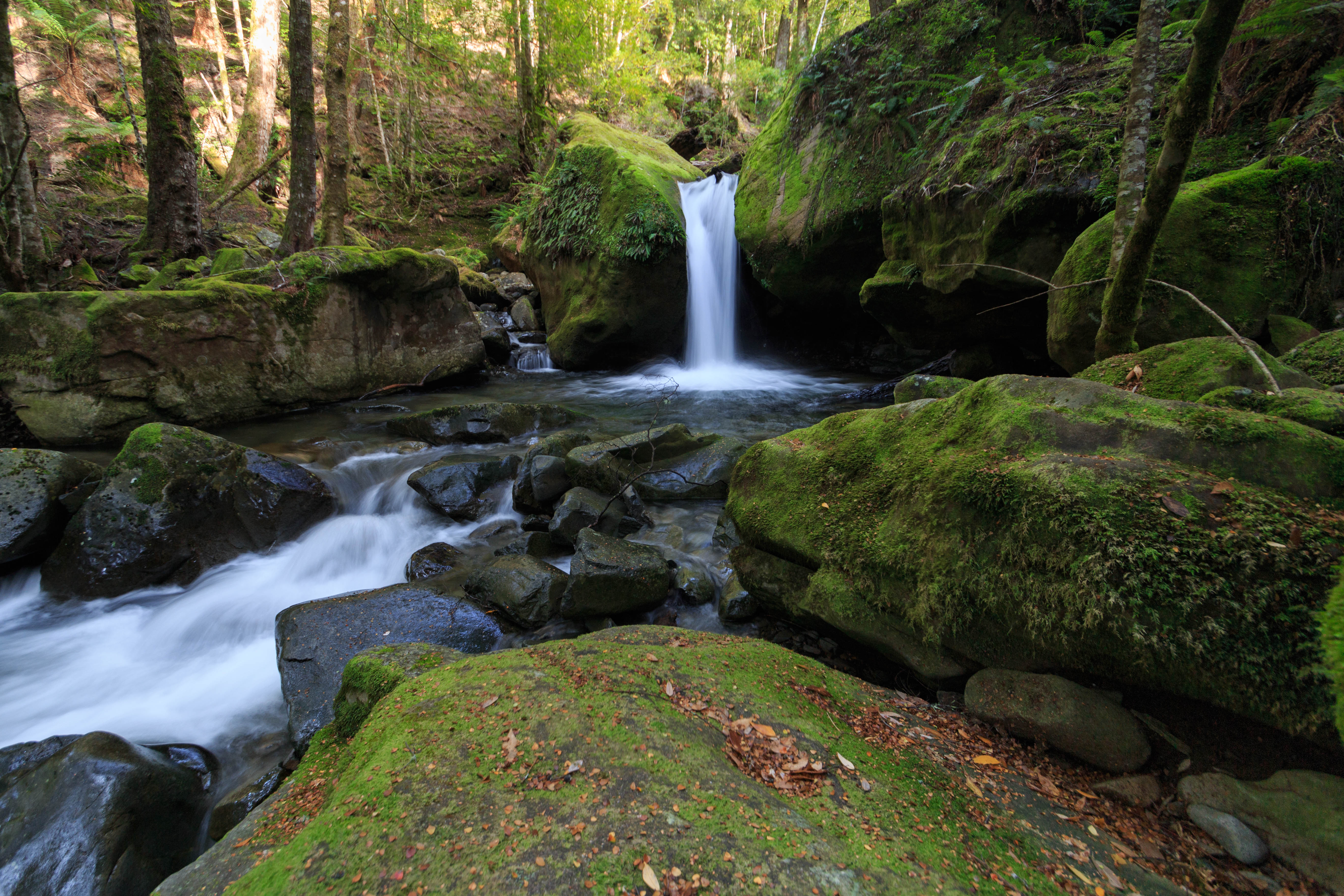 Lower Chasm Falls