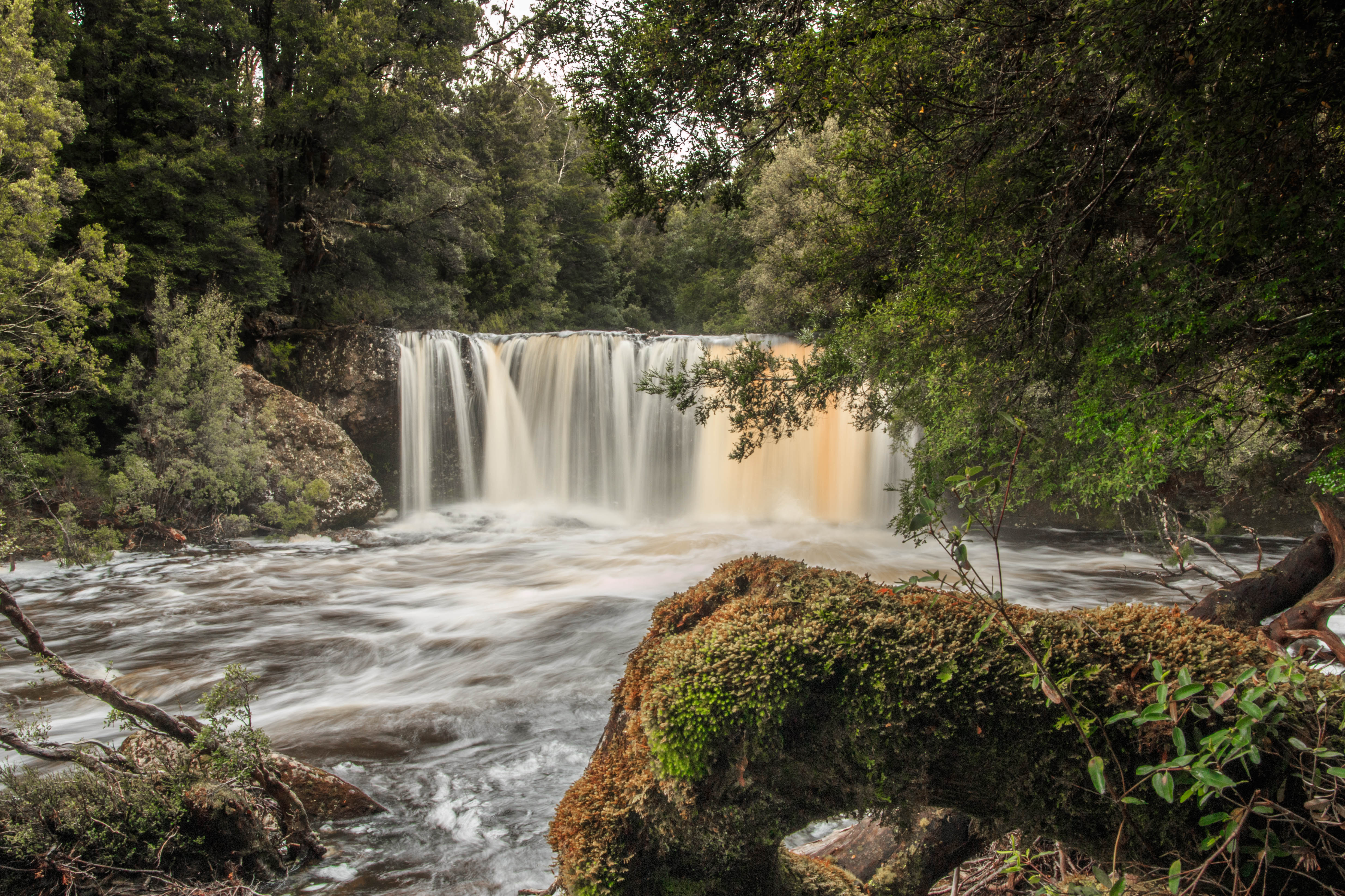 Pine falls. Тасмания водопады. Водопад Расселл Тасмания. Водопады Маккензи. Водопад Понгур.