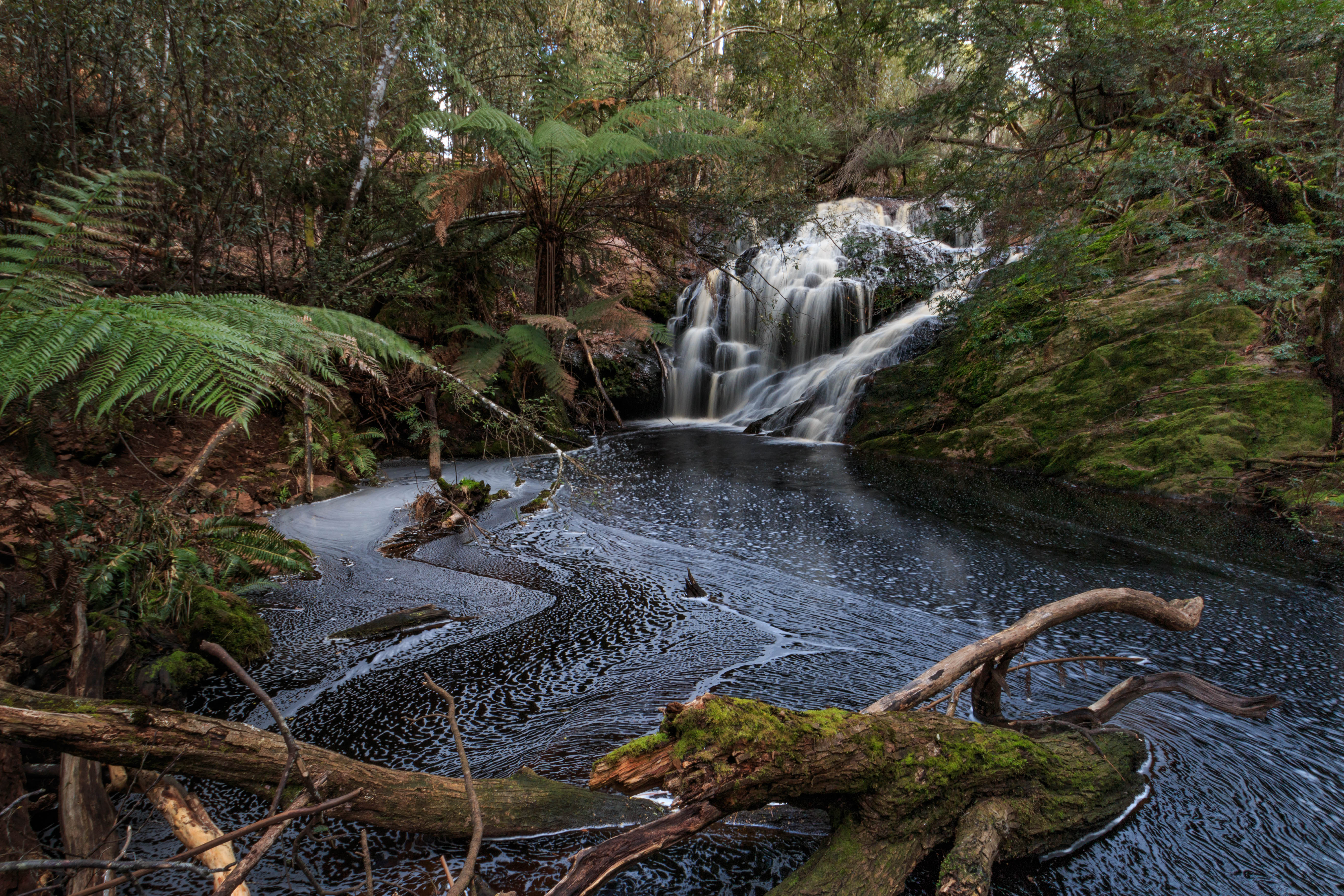 Redwater Creek Falls