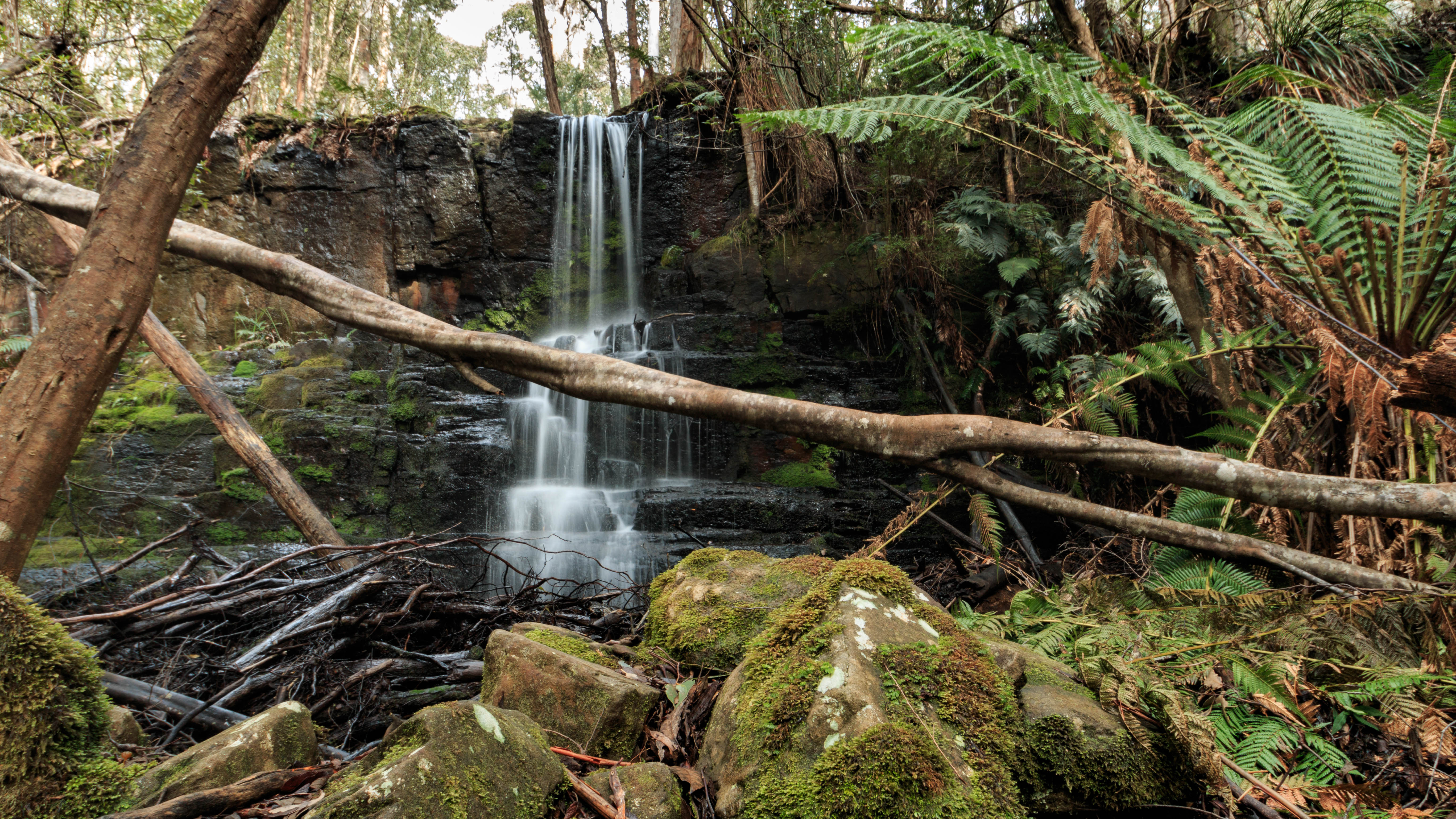 Camp Falls