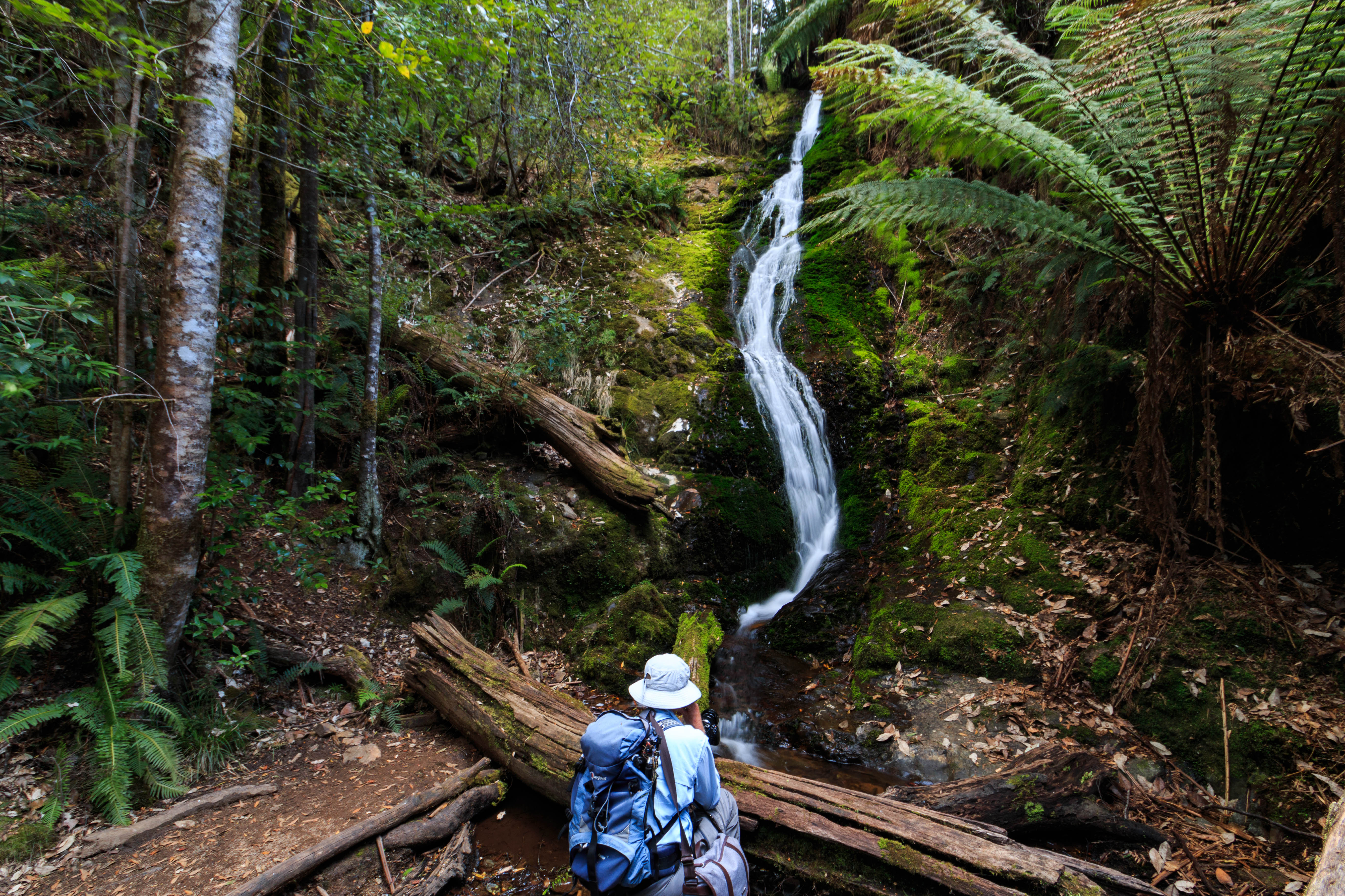 Evercreech Falls