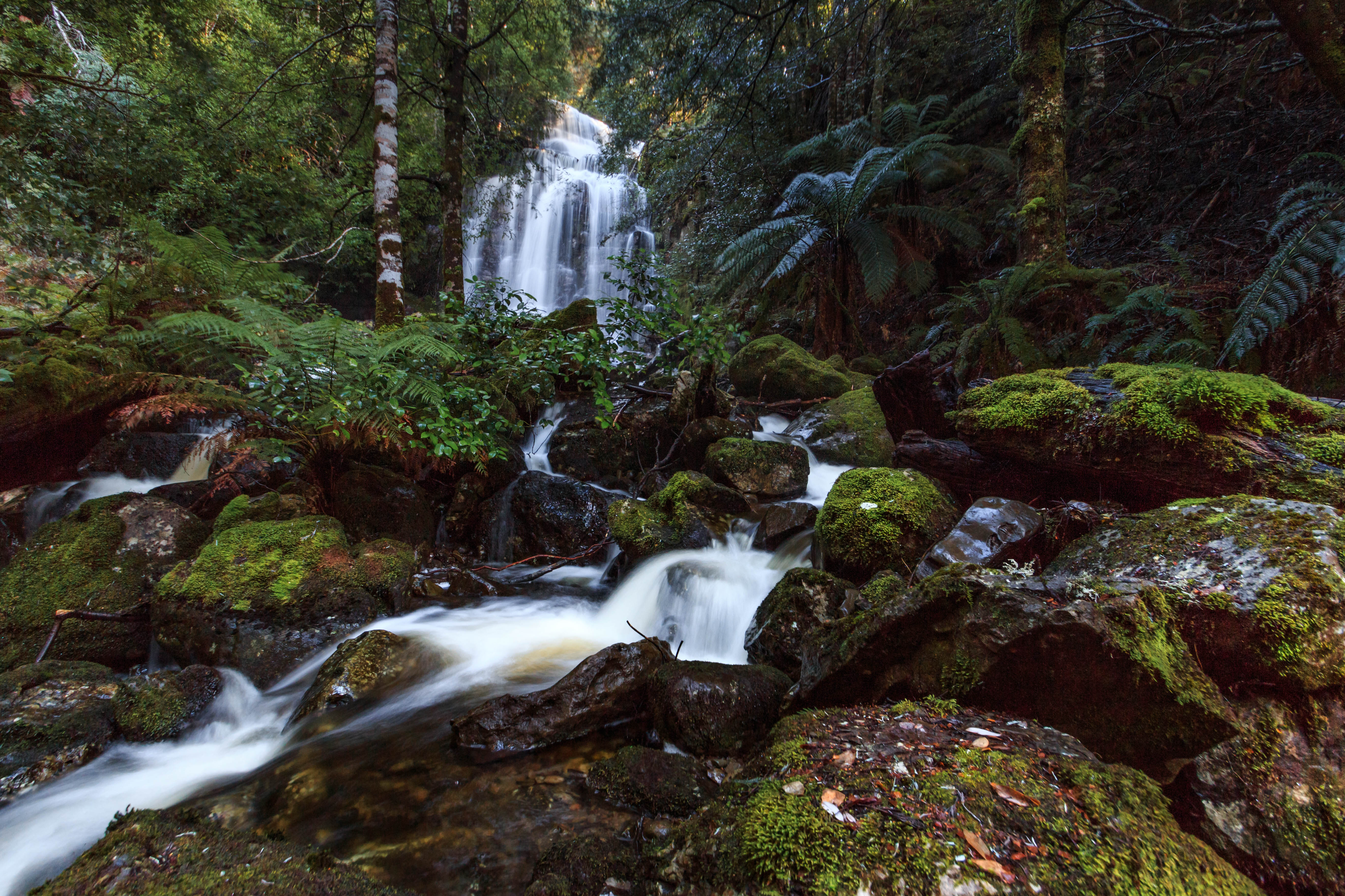 Ladder Falls