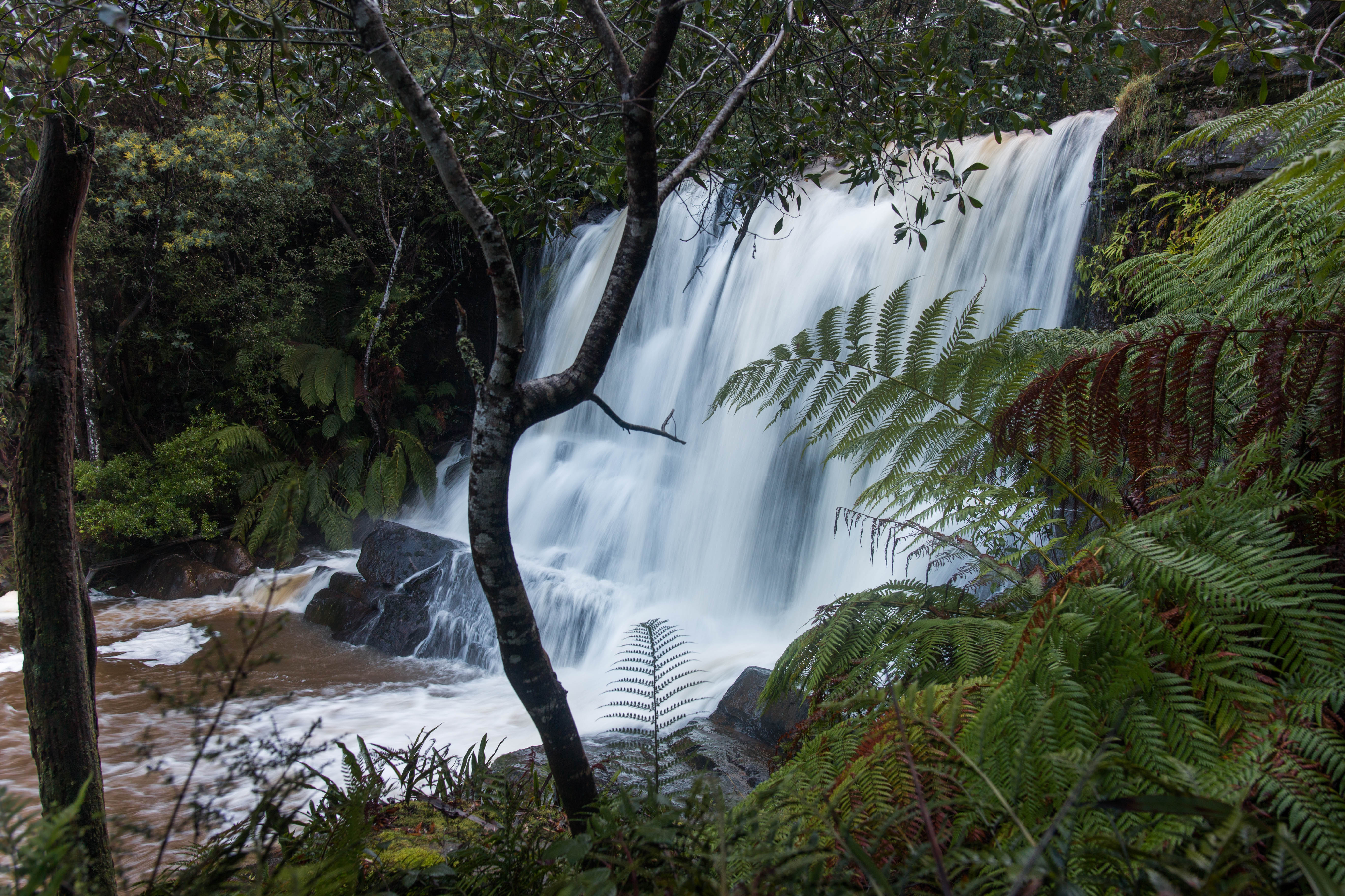 Forth Falls (upper)