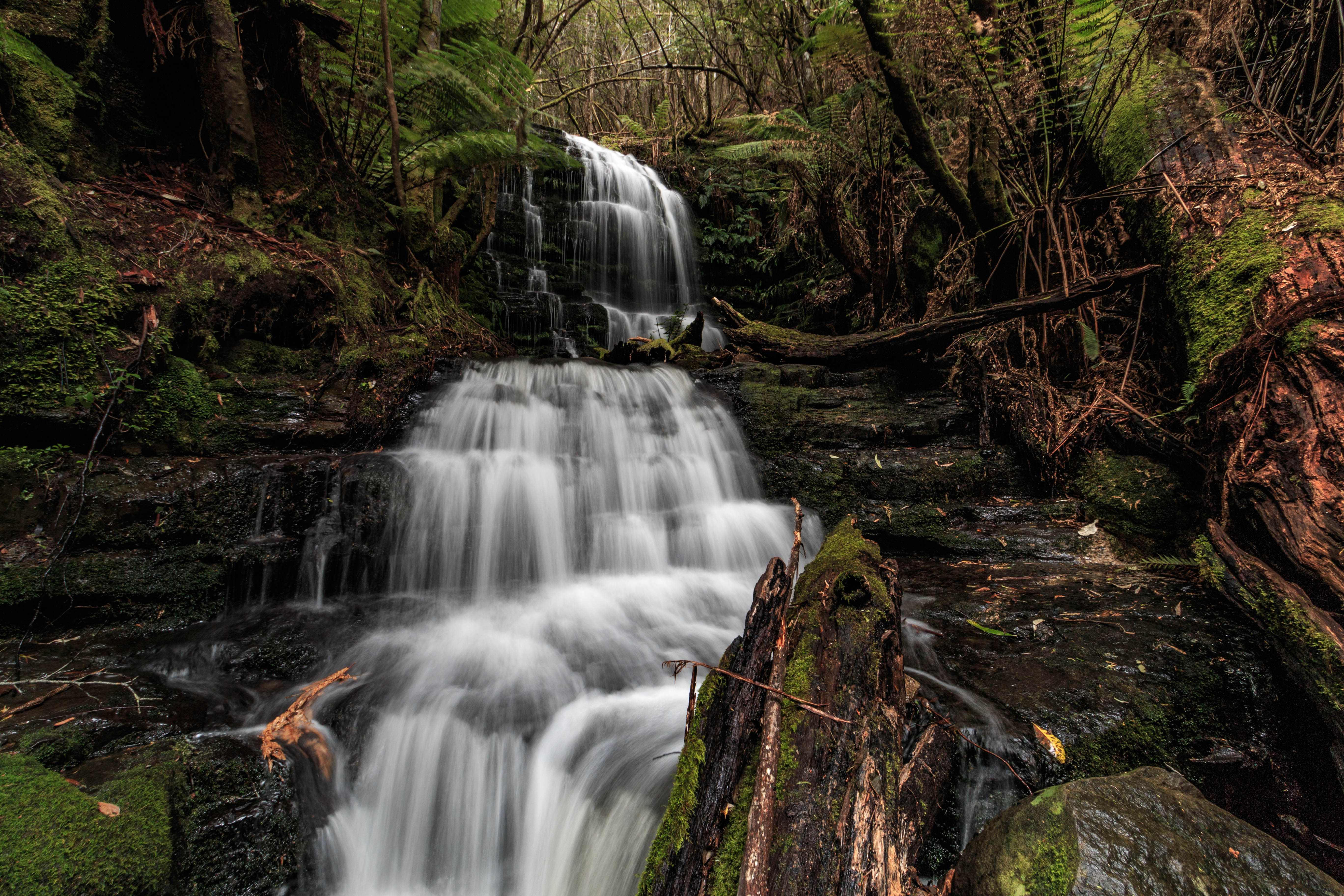 Myrtle Gully Falls