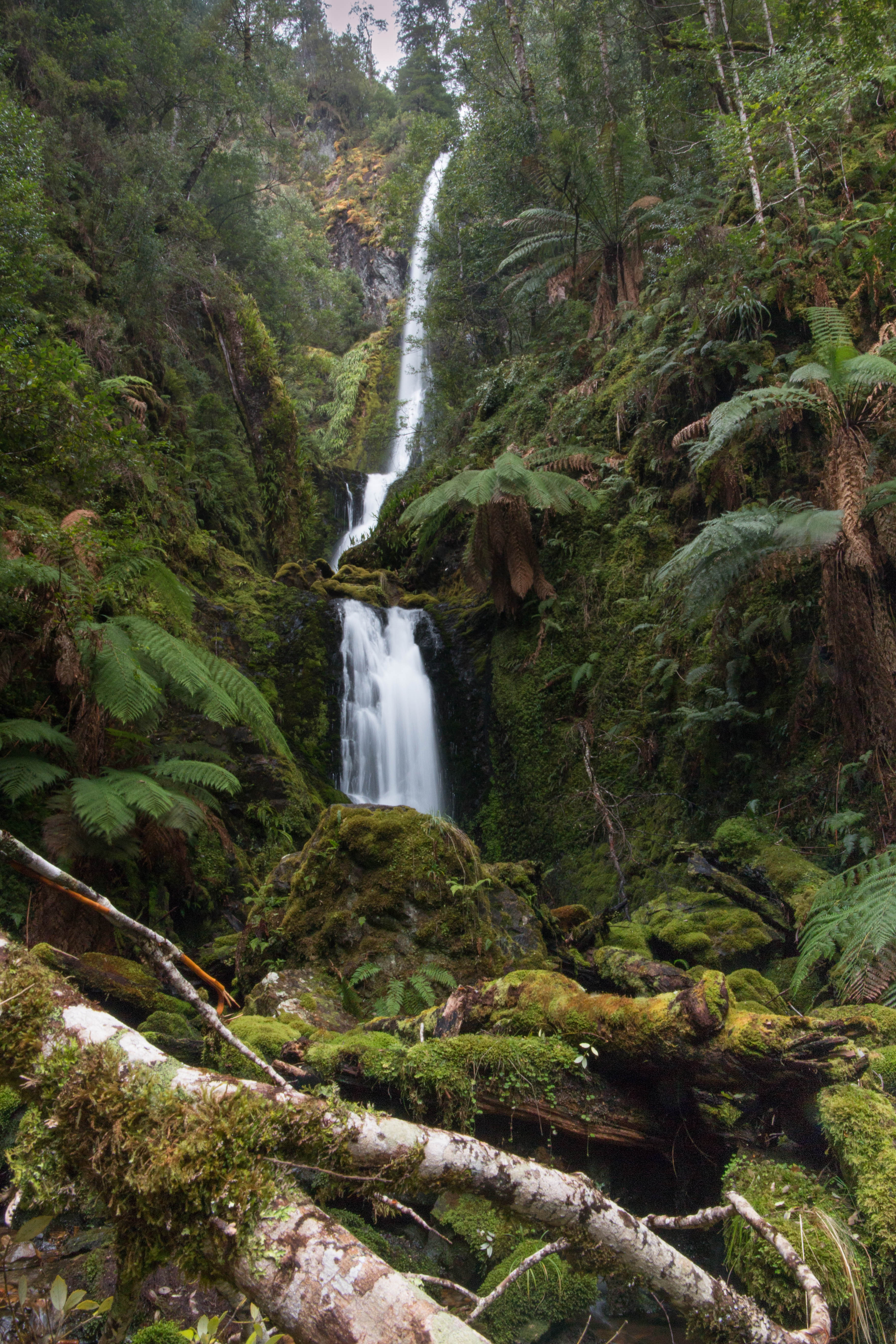 Quaile Falls