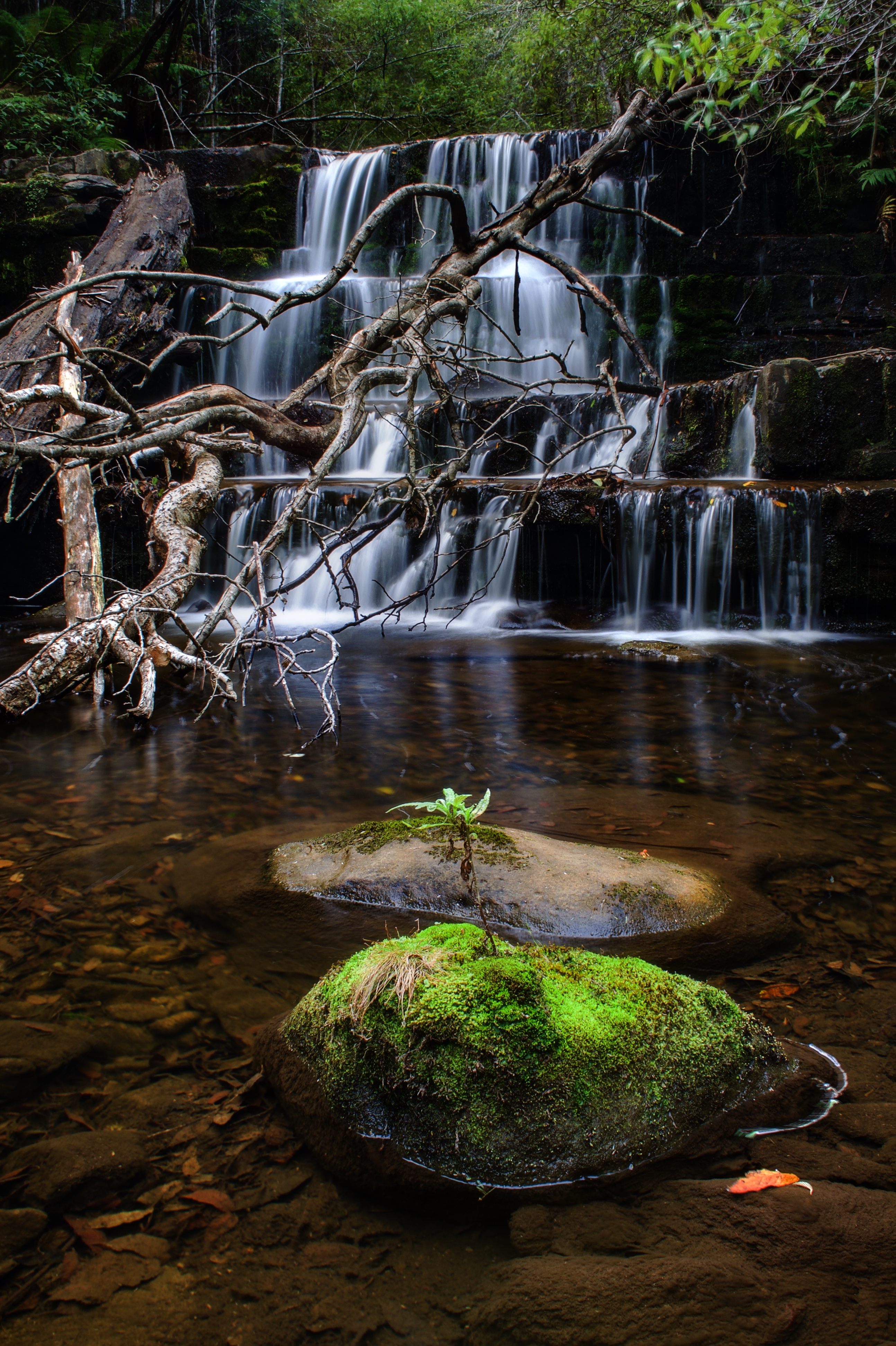 Myrtle Falls