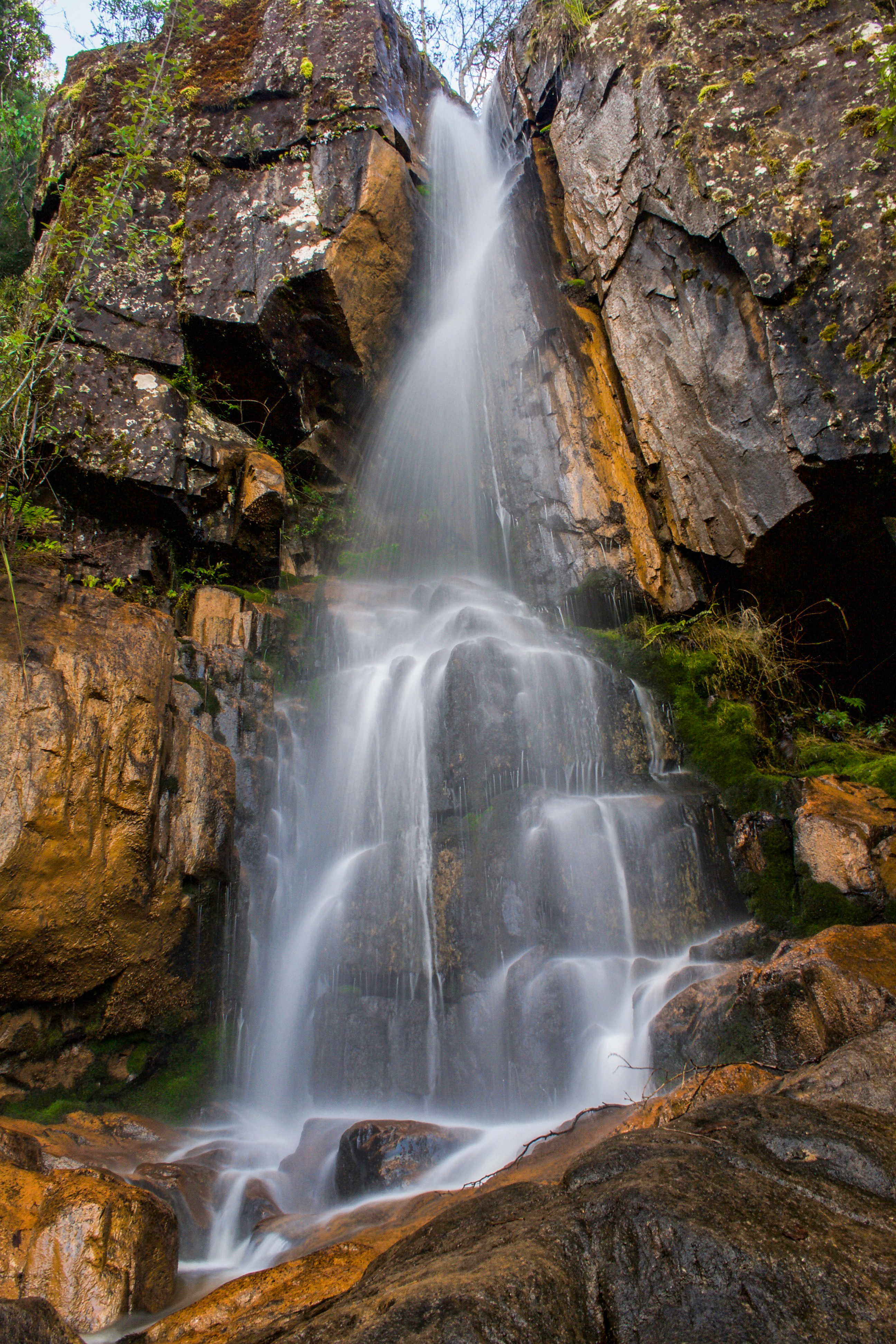 Nicholls Falls