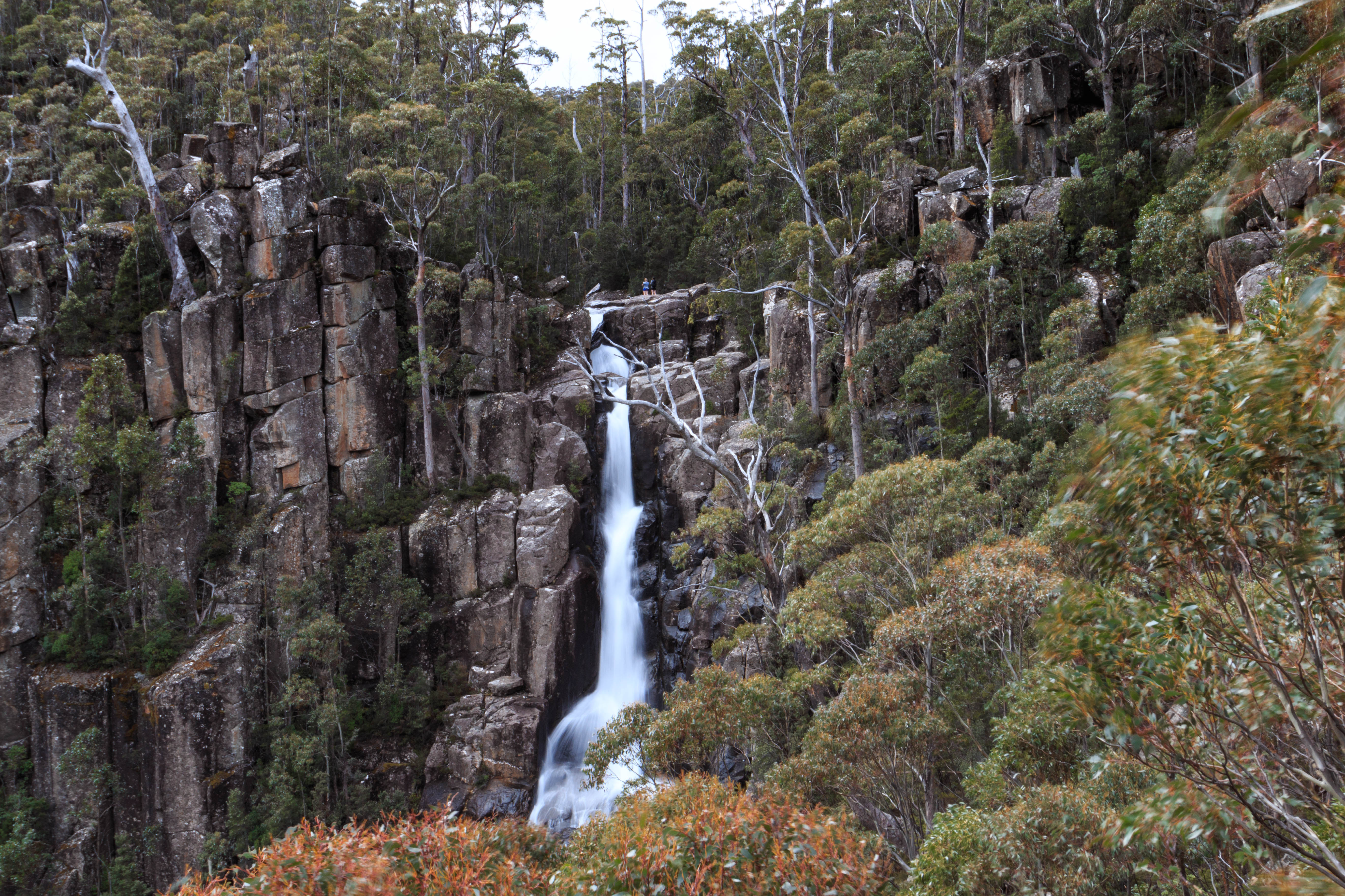 Wellington Falls