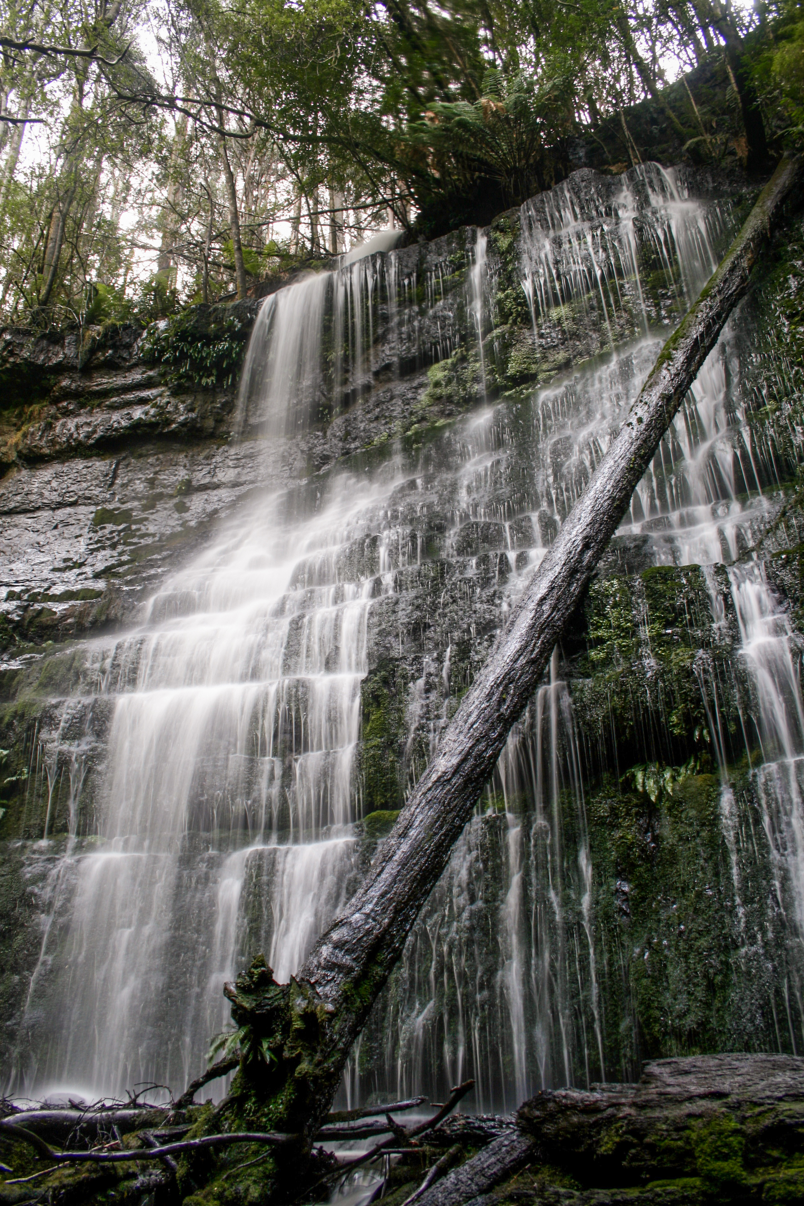 Sharpes Falls