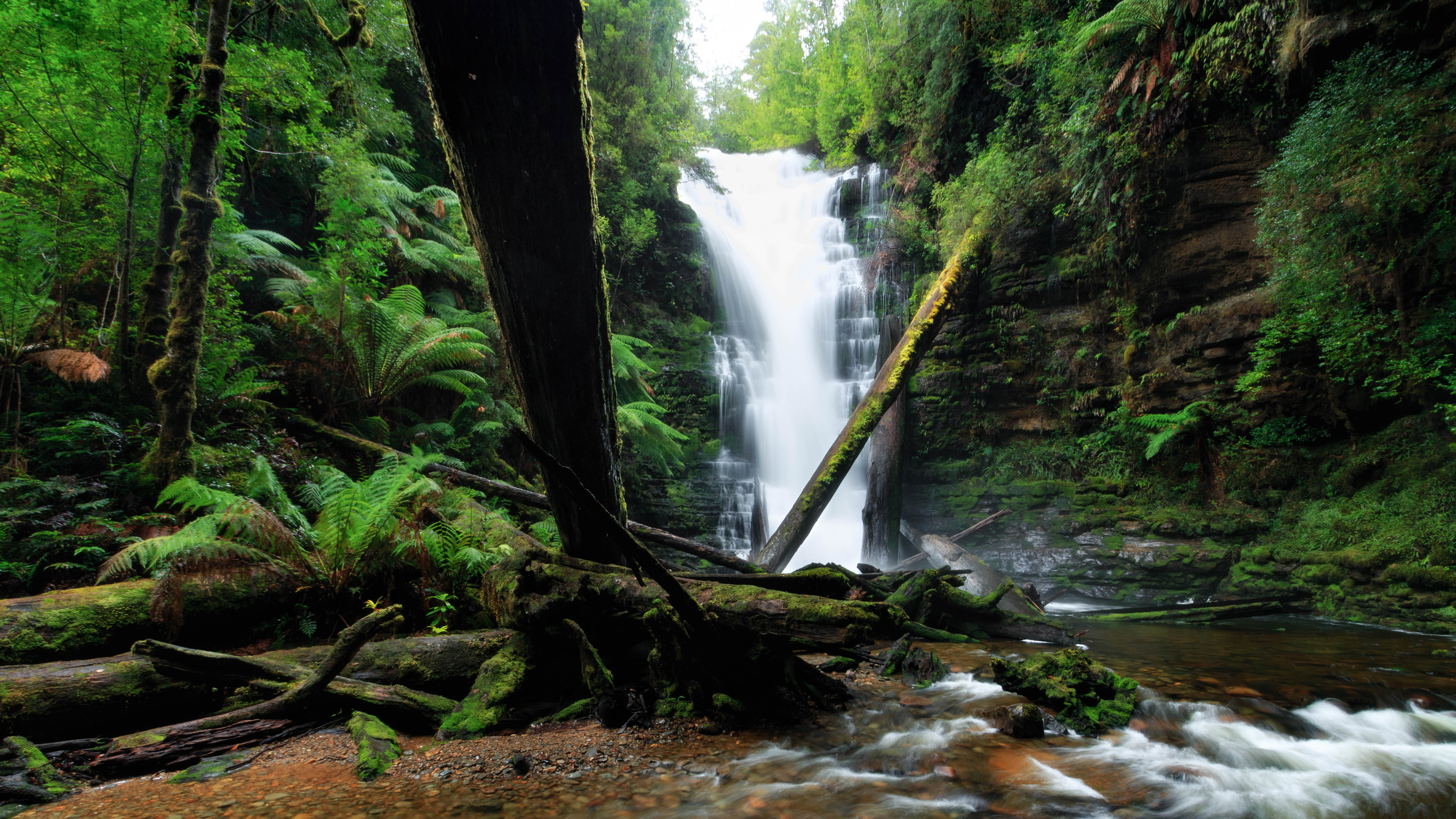 Reuben Falls