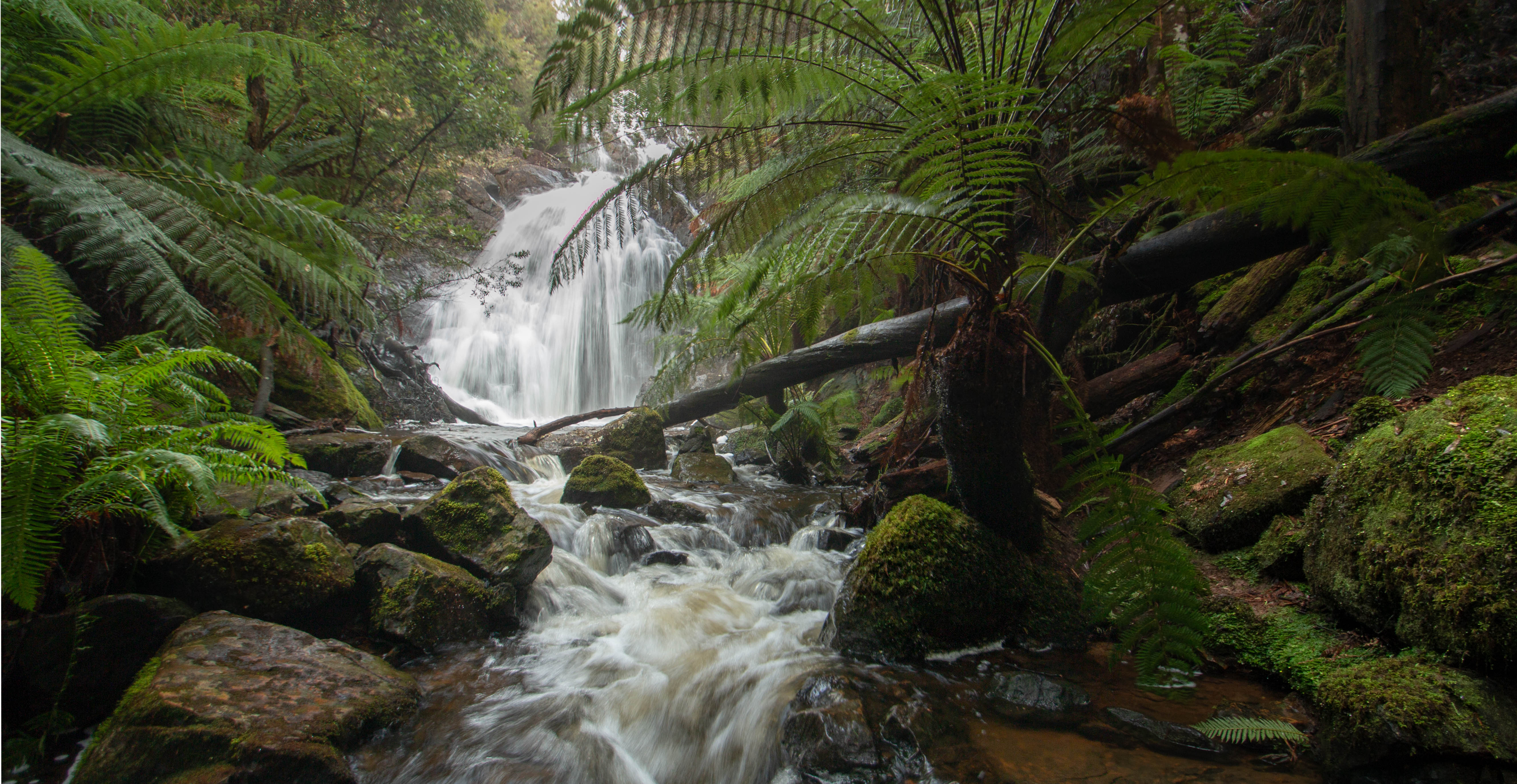 Silver Falls (Castra Circuit)