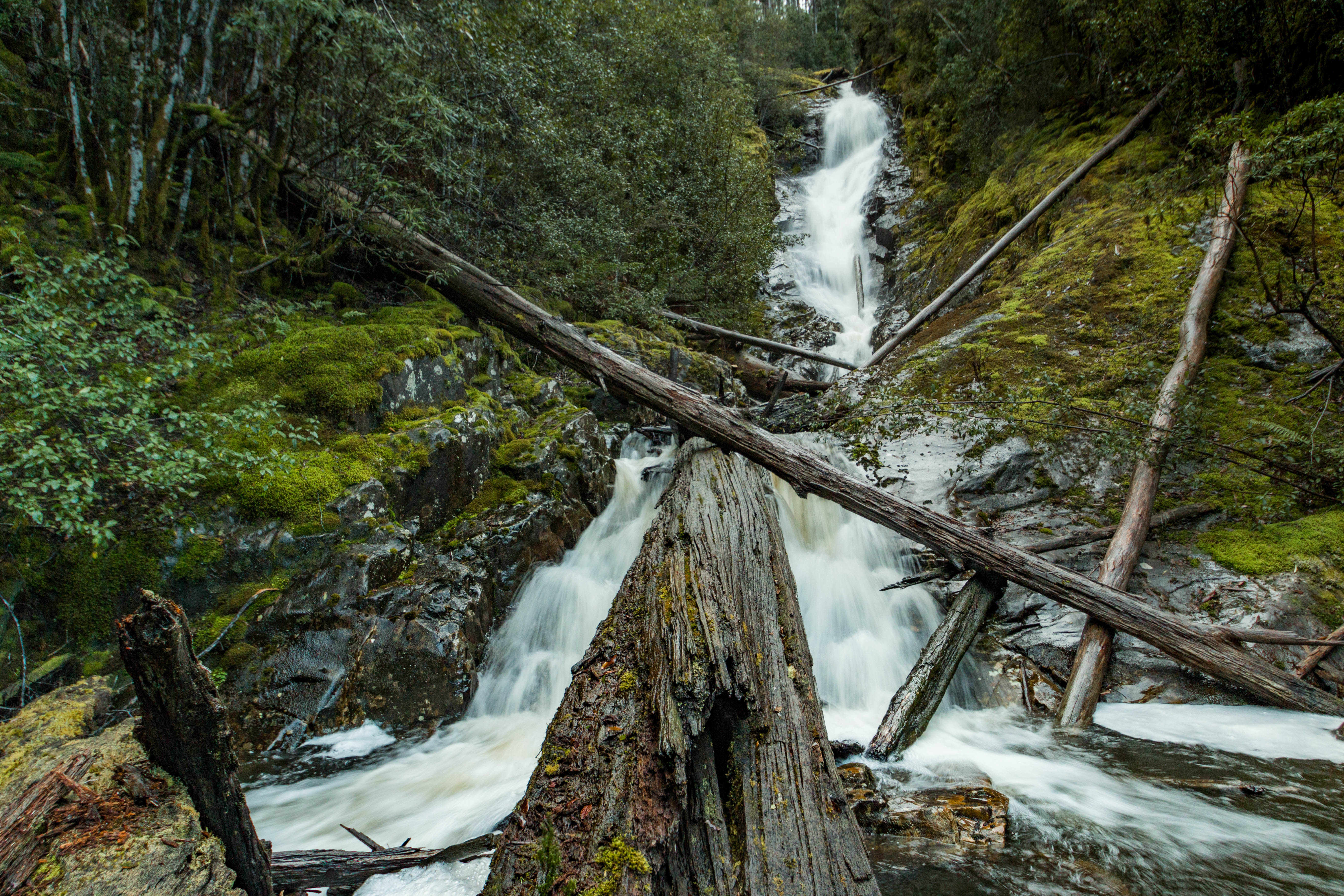 Willies Falls