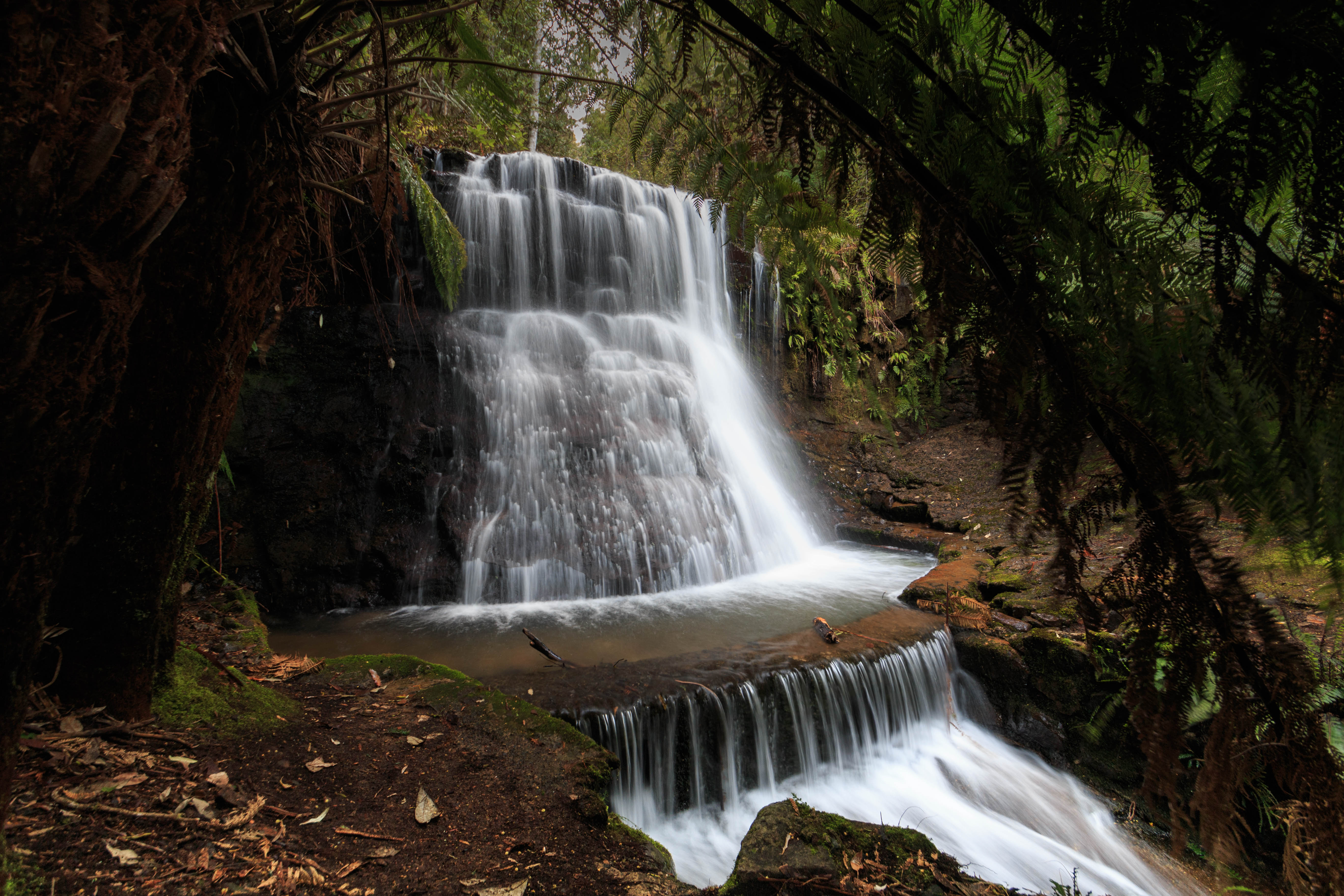 Silver Falls