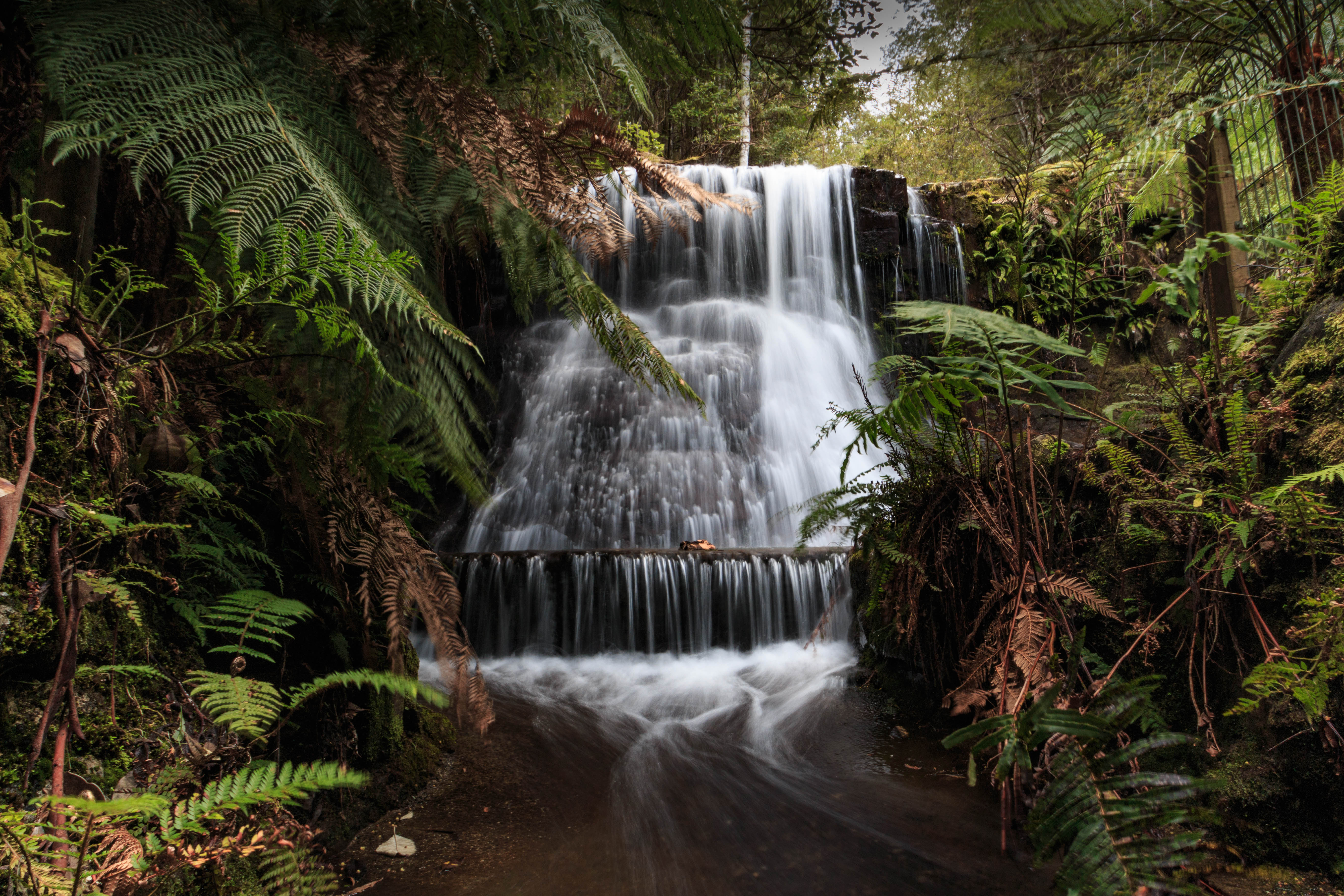 Silver Falls