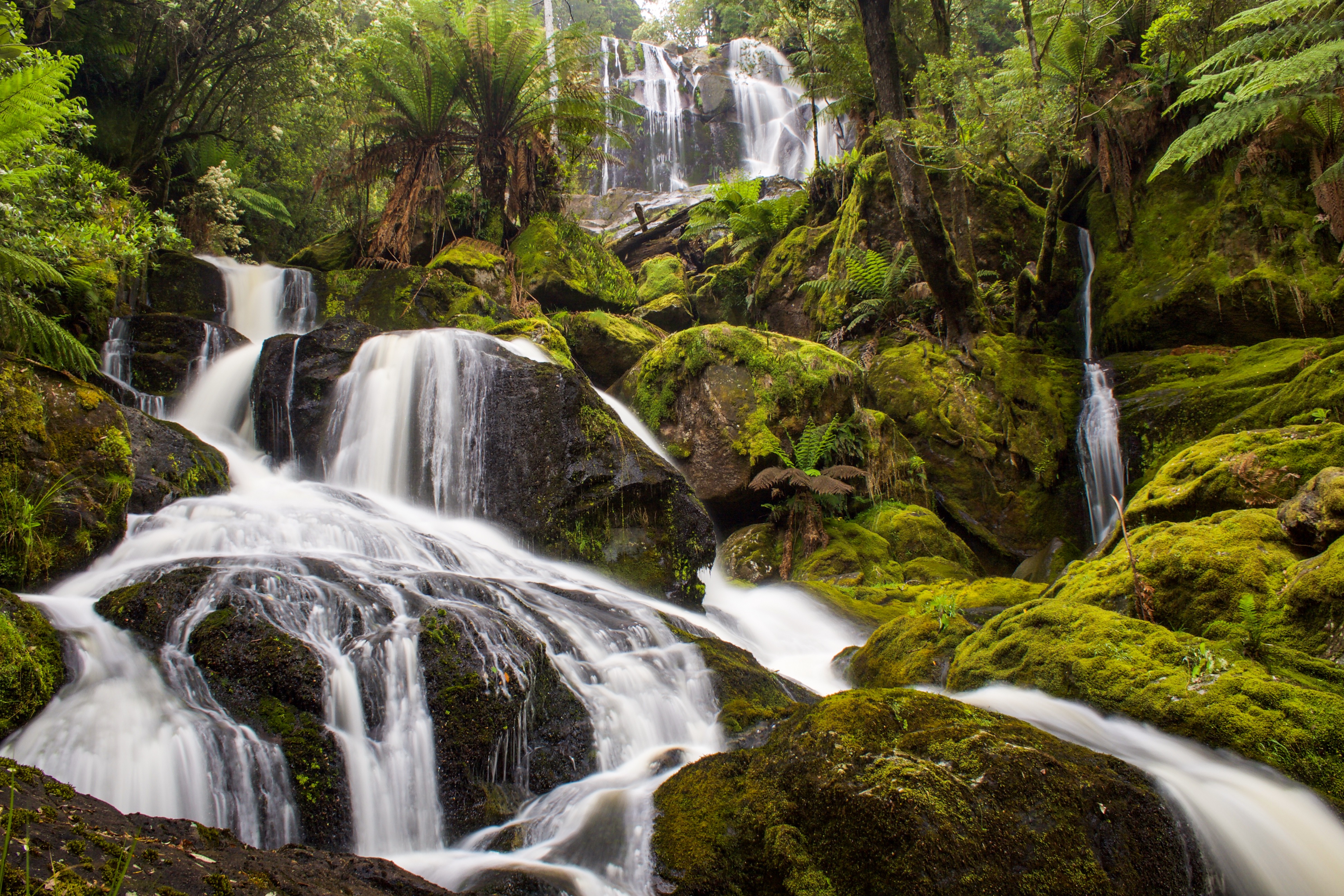 Evercreech Rivulet Falls