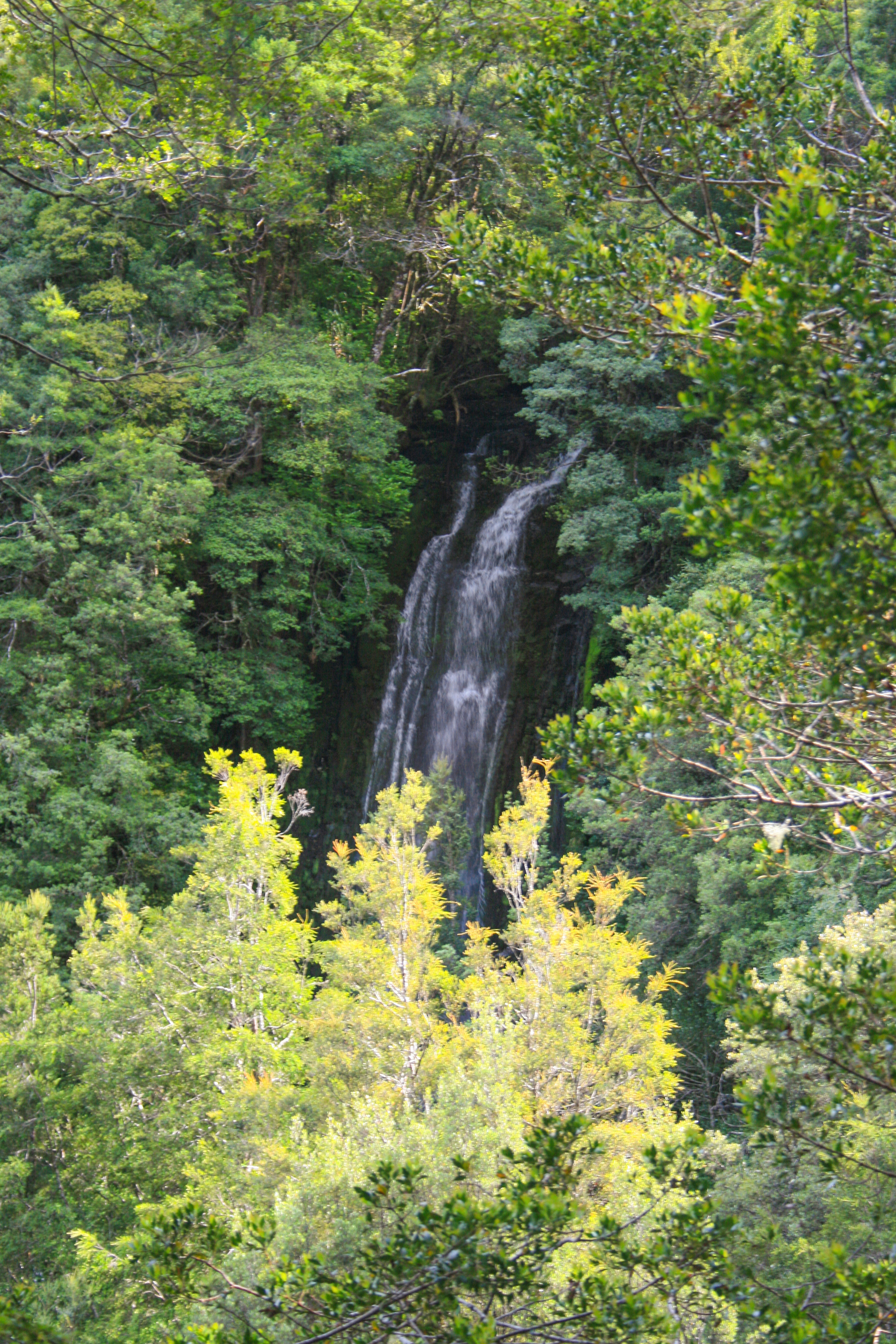 Cathedral Falls