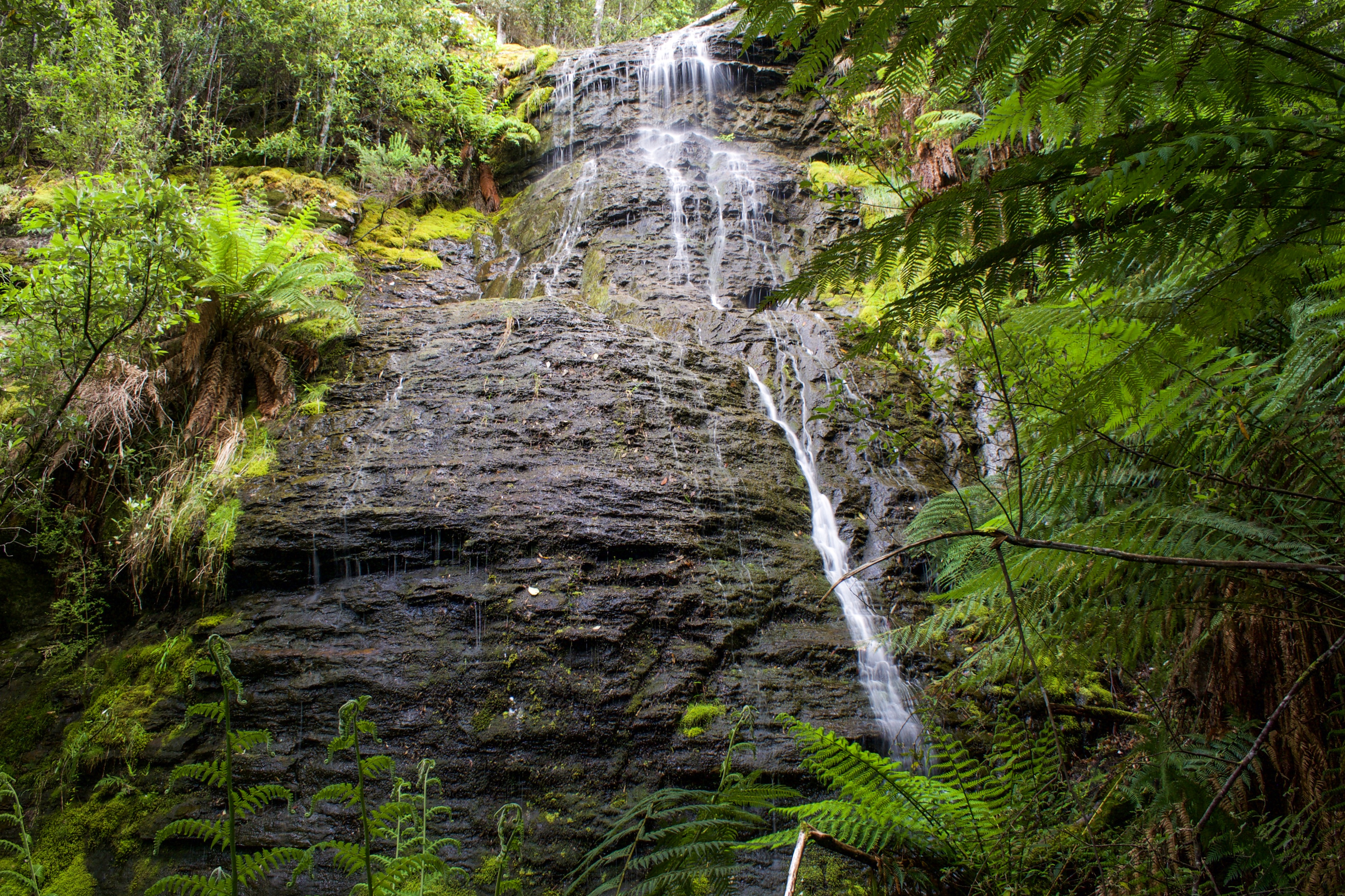 Kiernans Falls