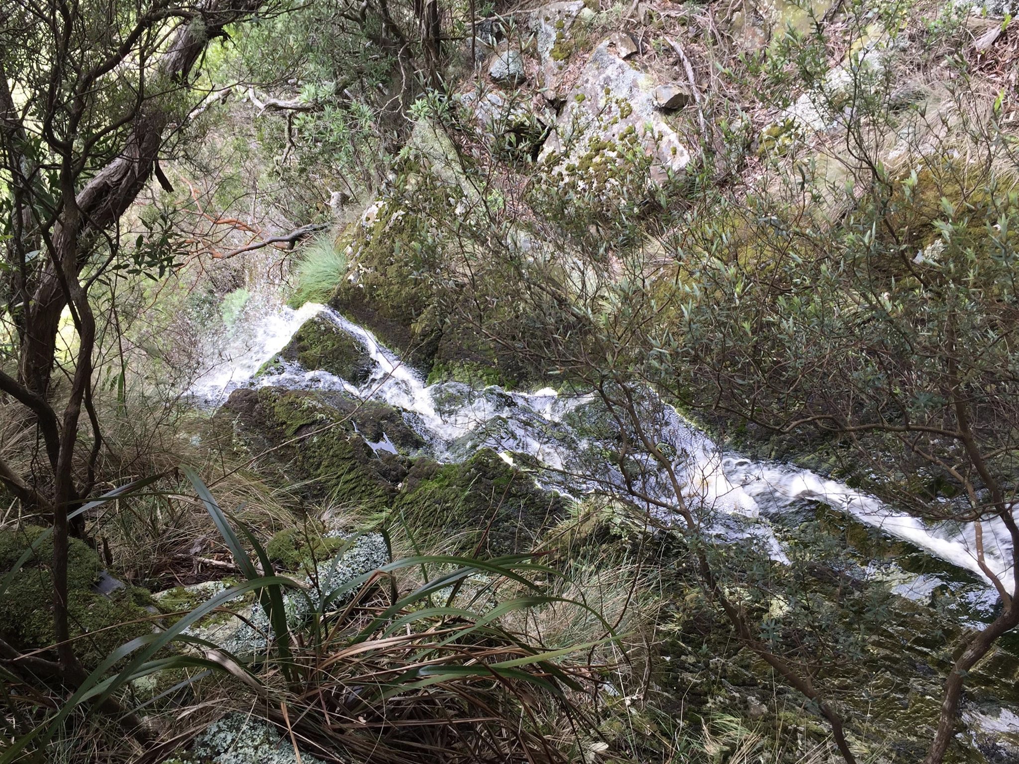 Top of Alberton Falls