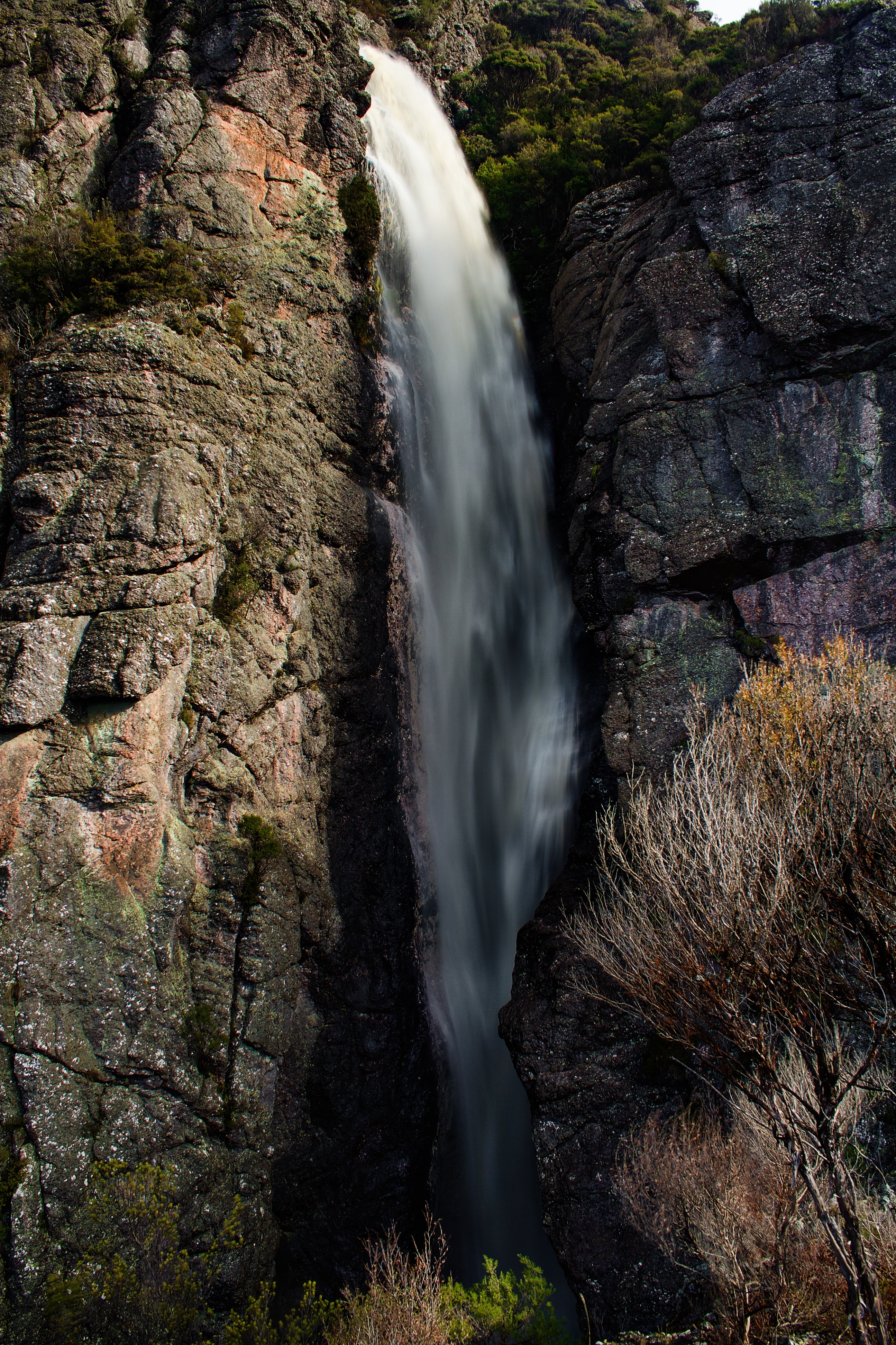 Minnow Falls (Middle Tier)