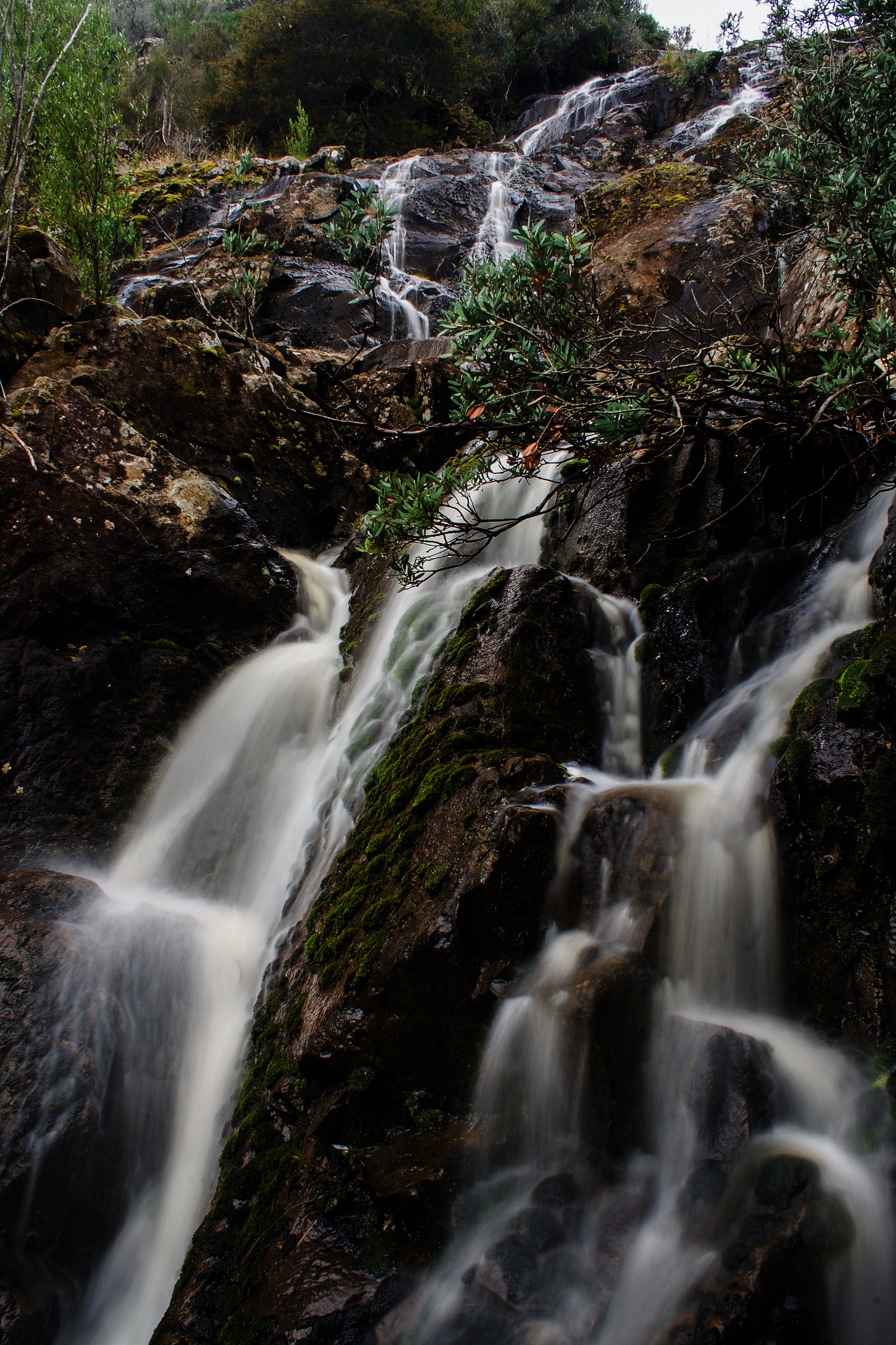 Dead Creek Falls