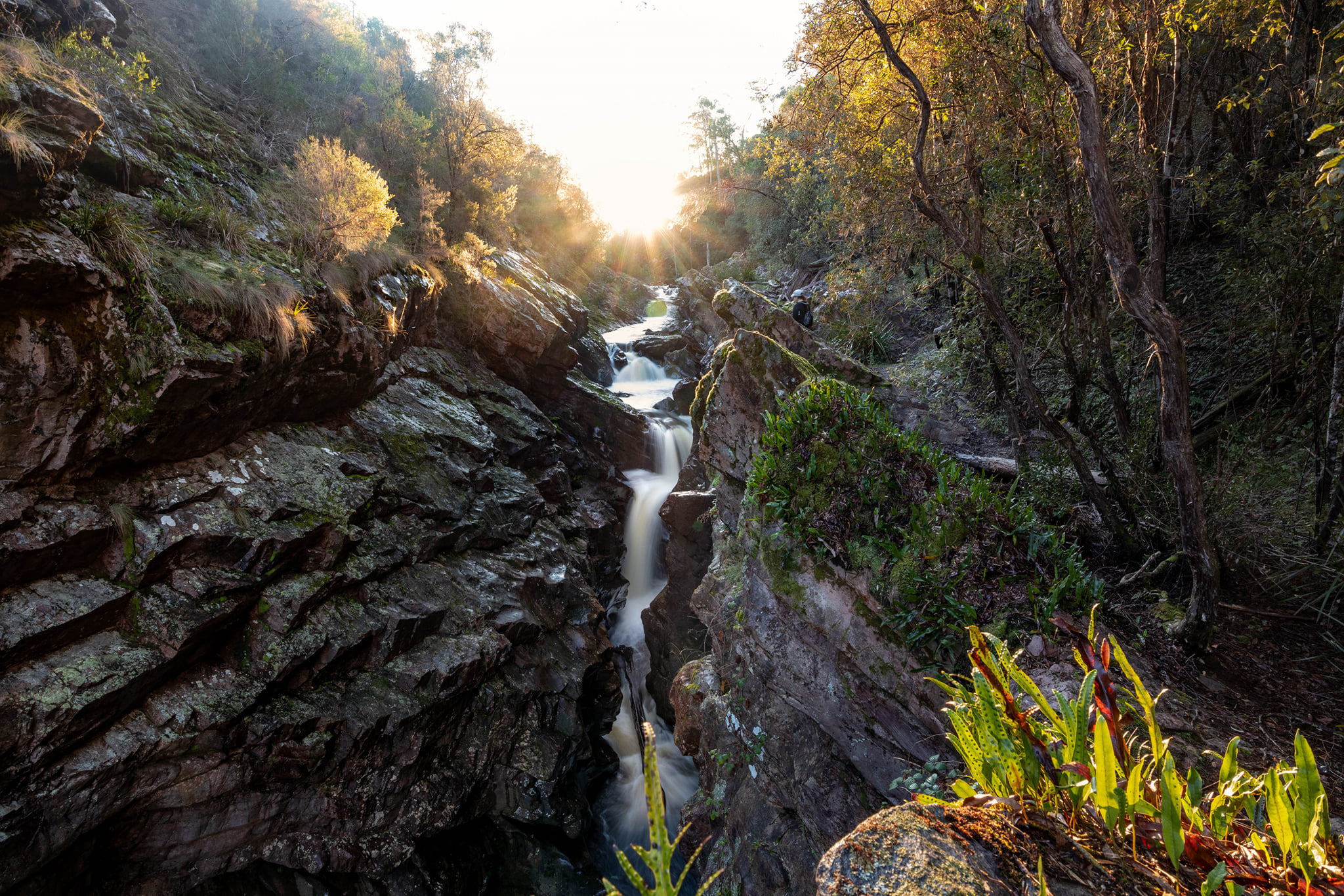 Dasher Falls at sunset