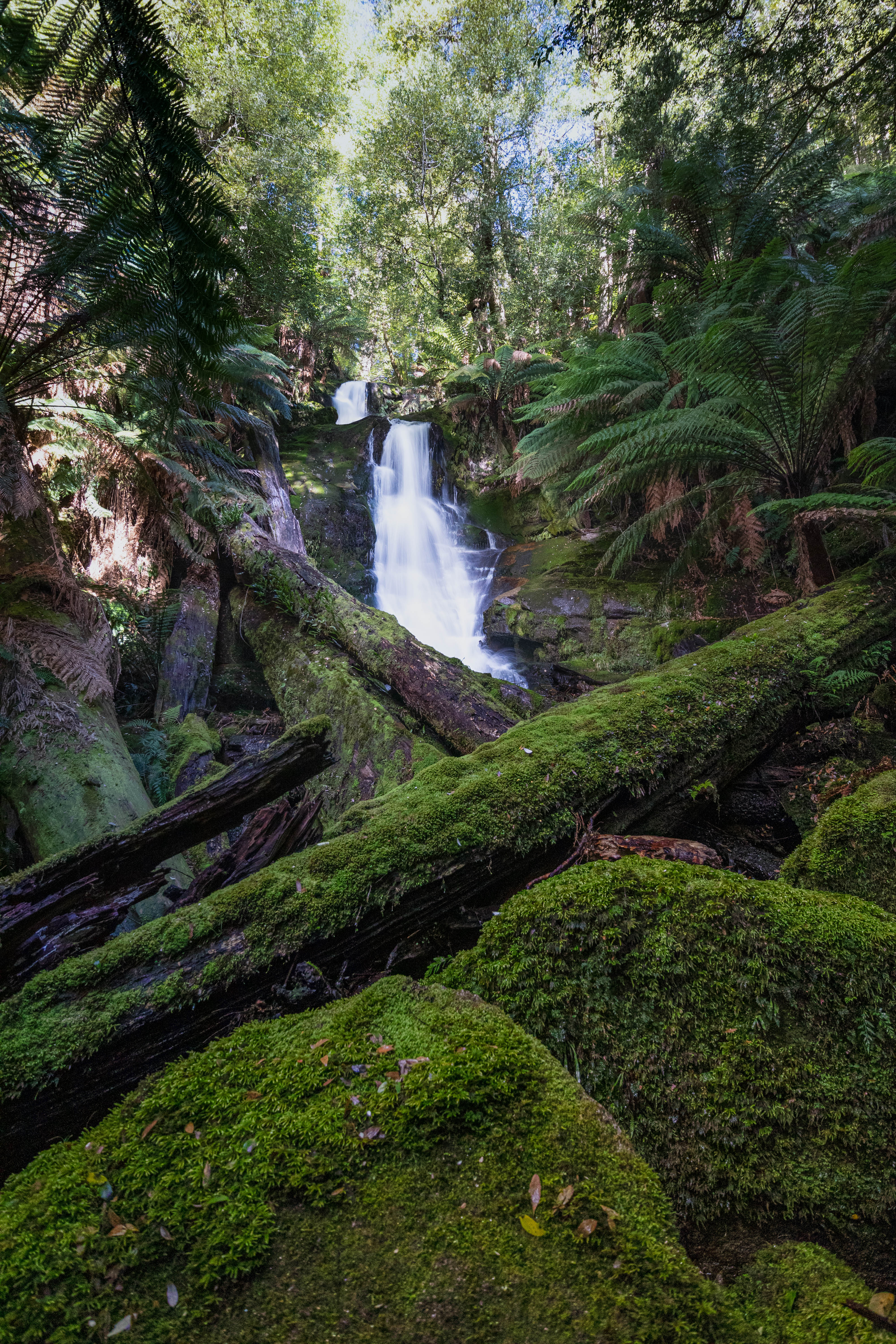 Cuckoo Falls