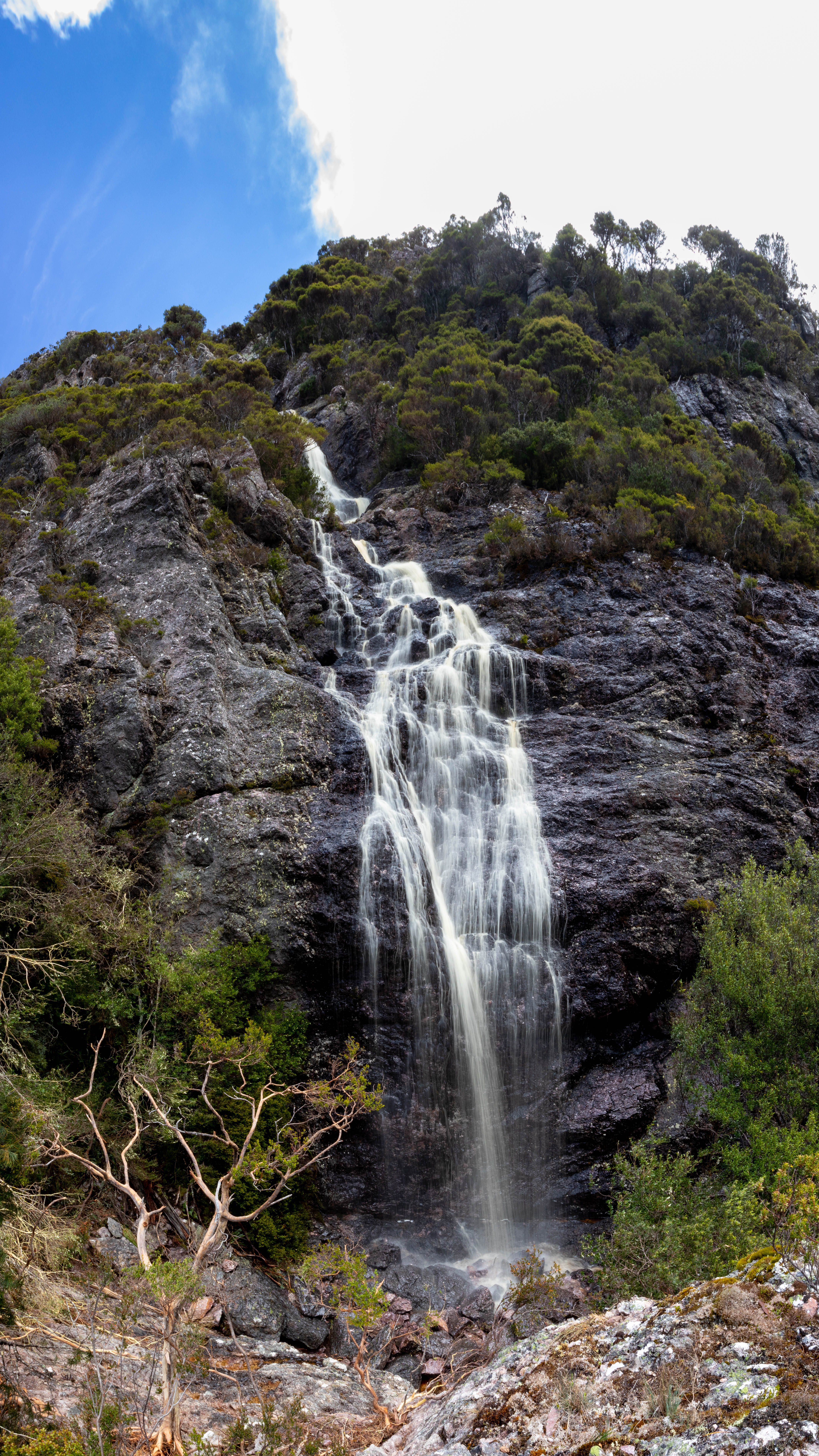 Reggies Falls