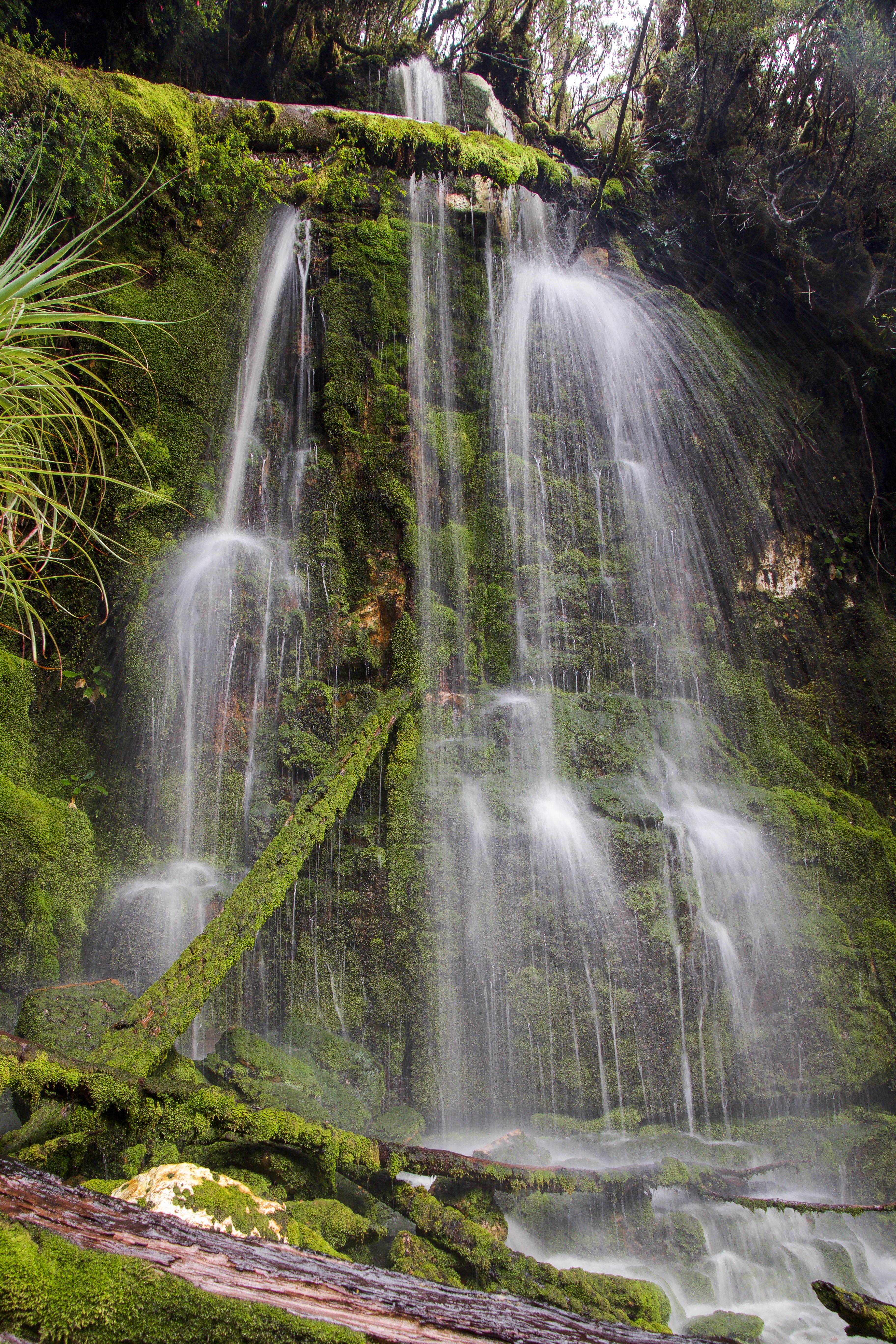 North Fork Many Falls Creek Falls