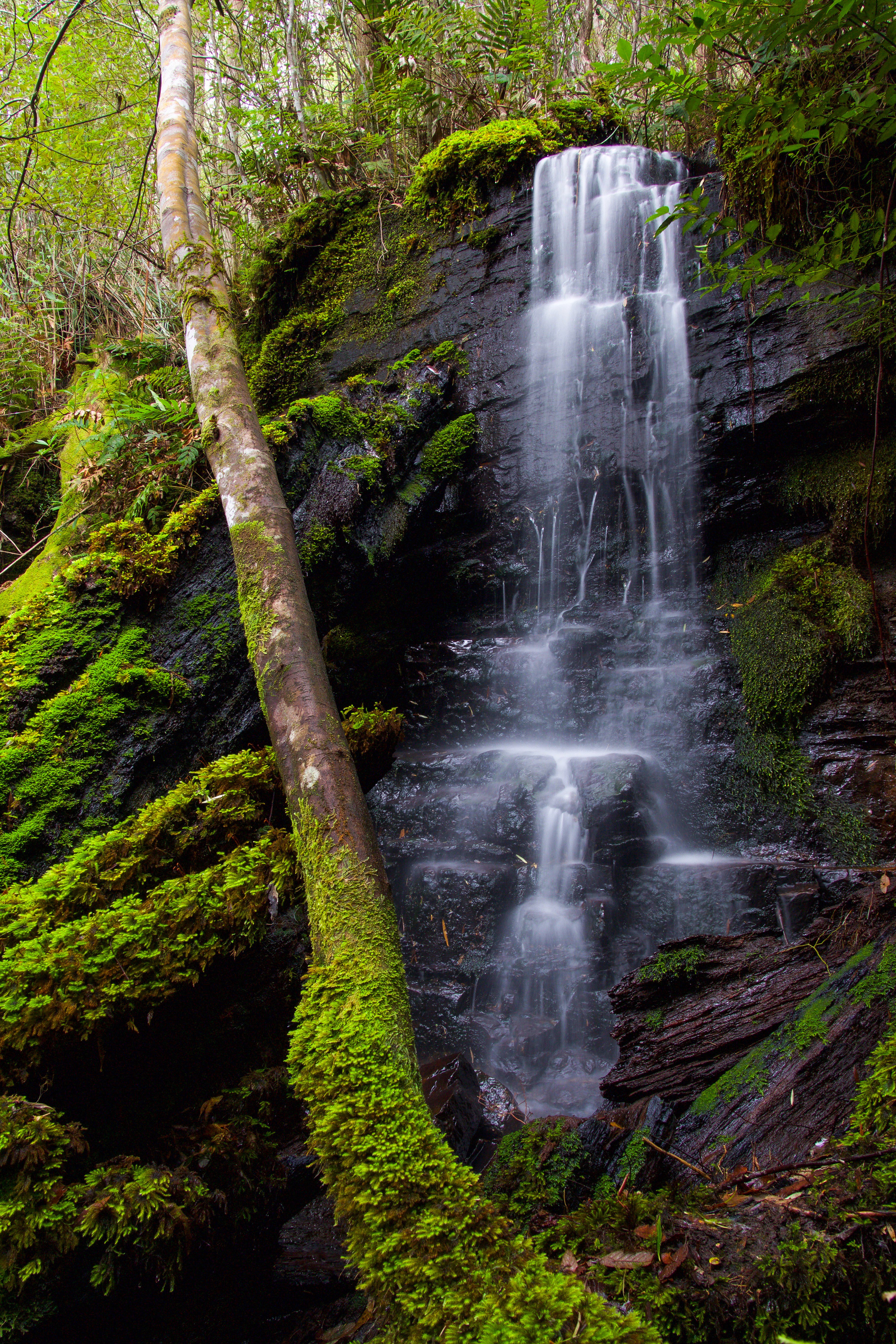 Fairy Falls