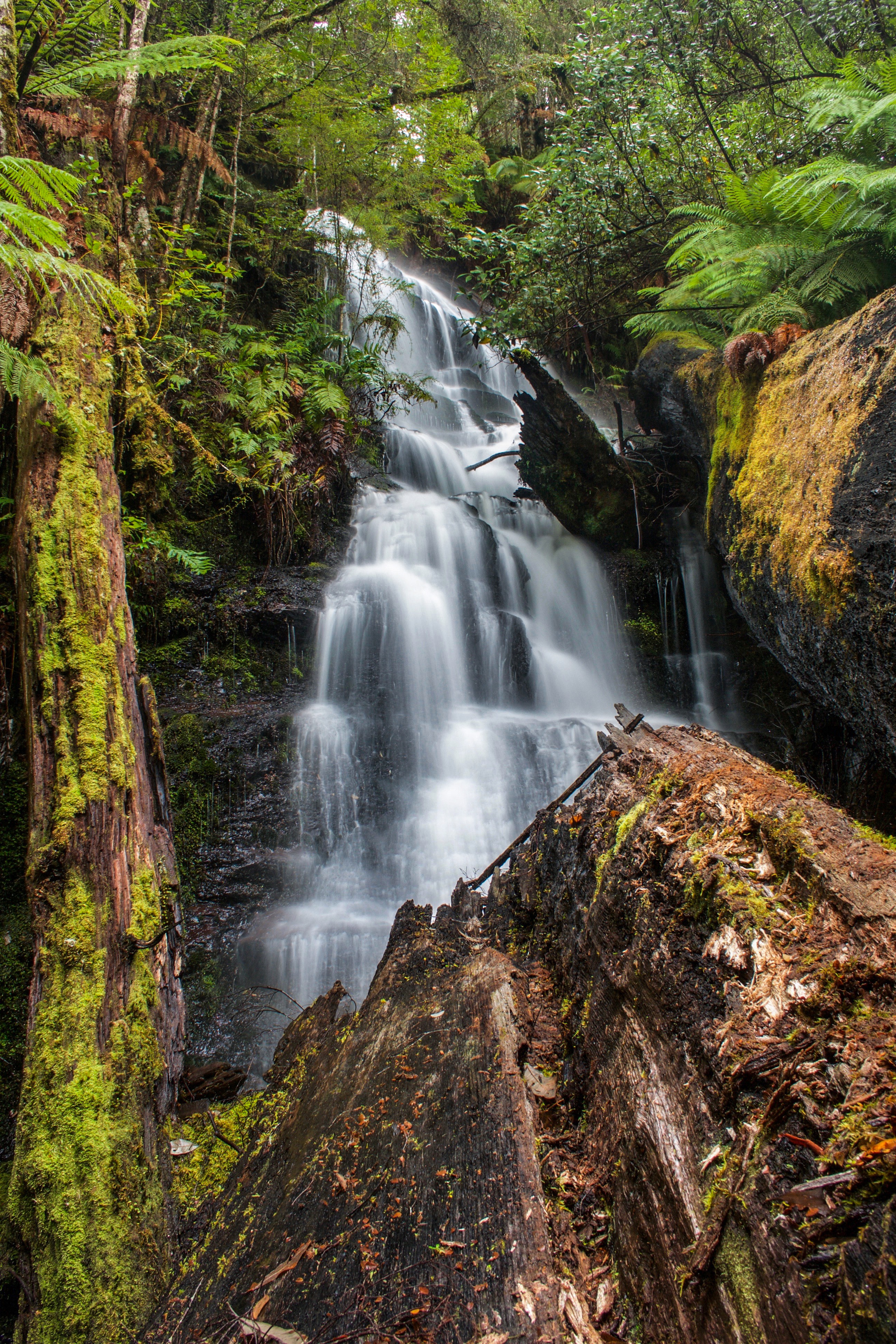 Regnans Falls