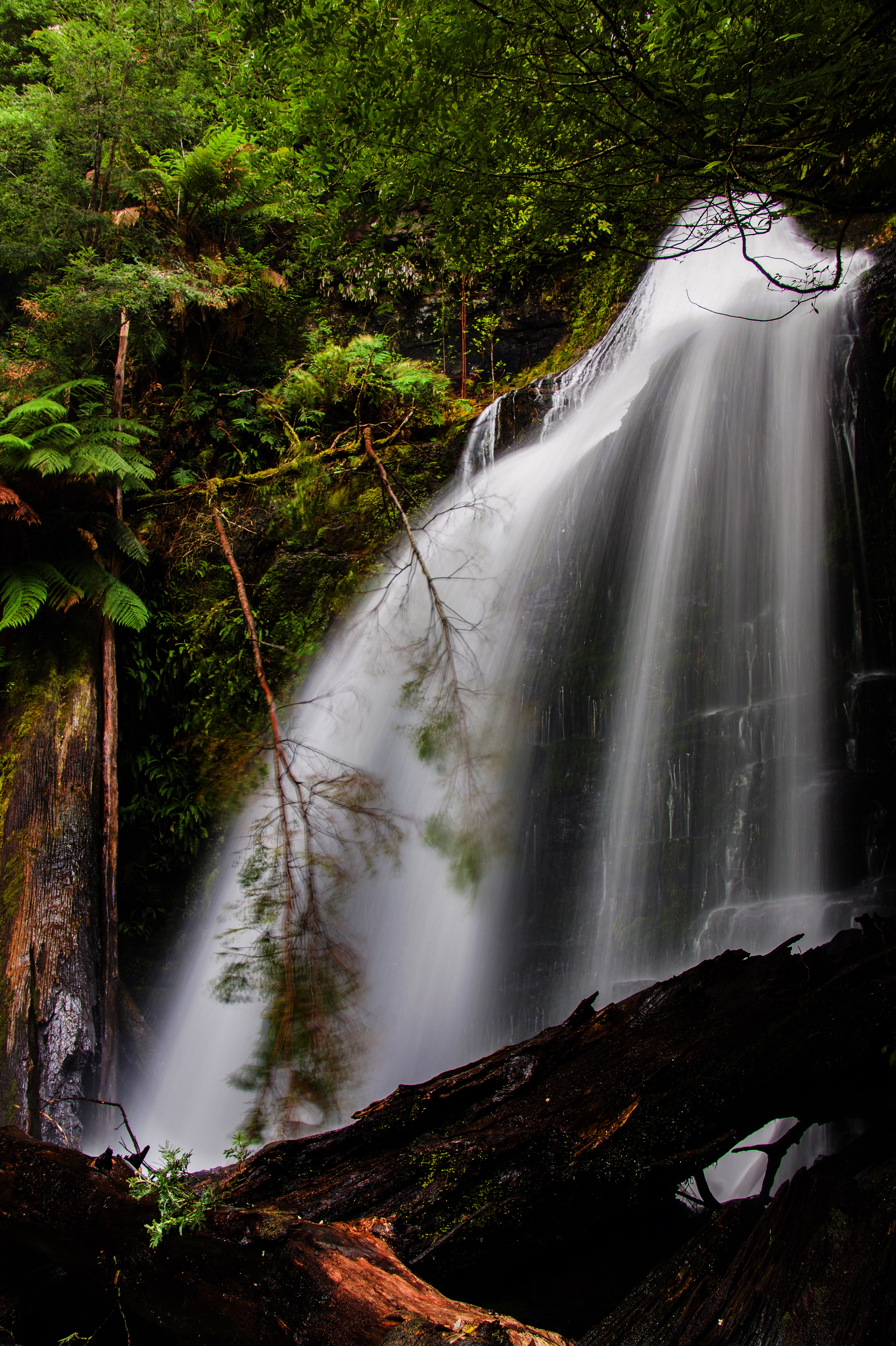 Lower Julia Falls