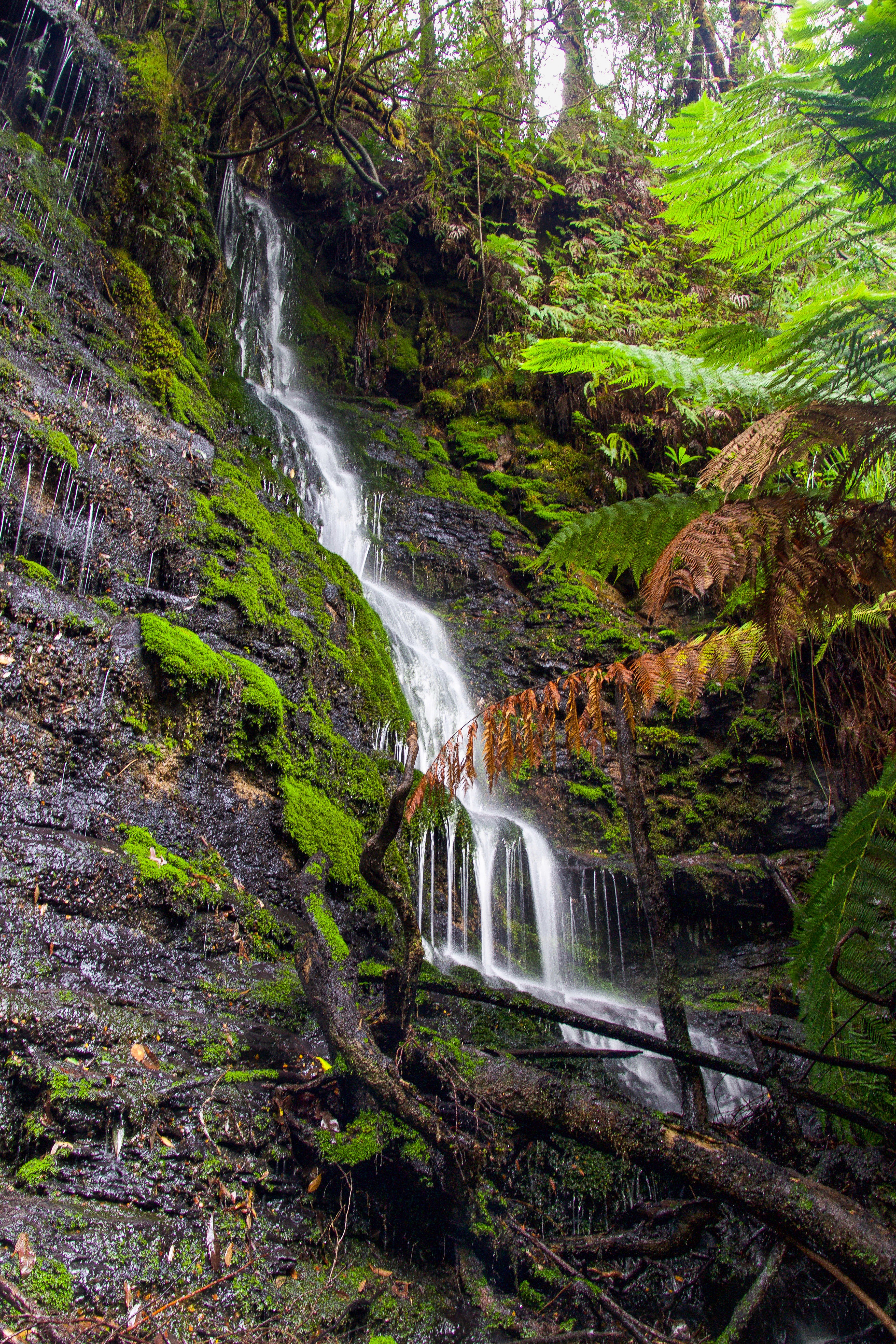 Pear Falls (secondary falls)