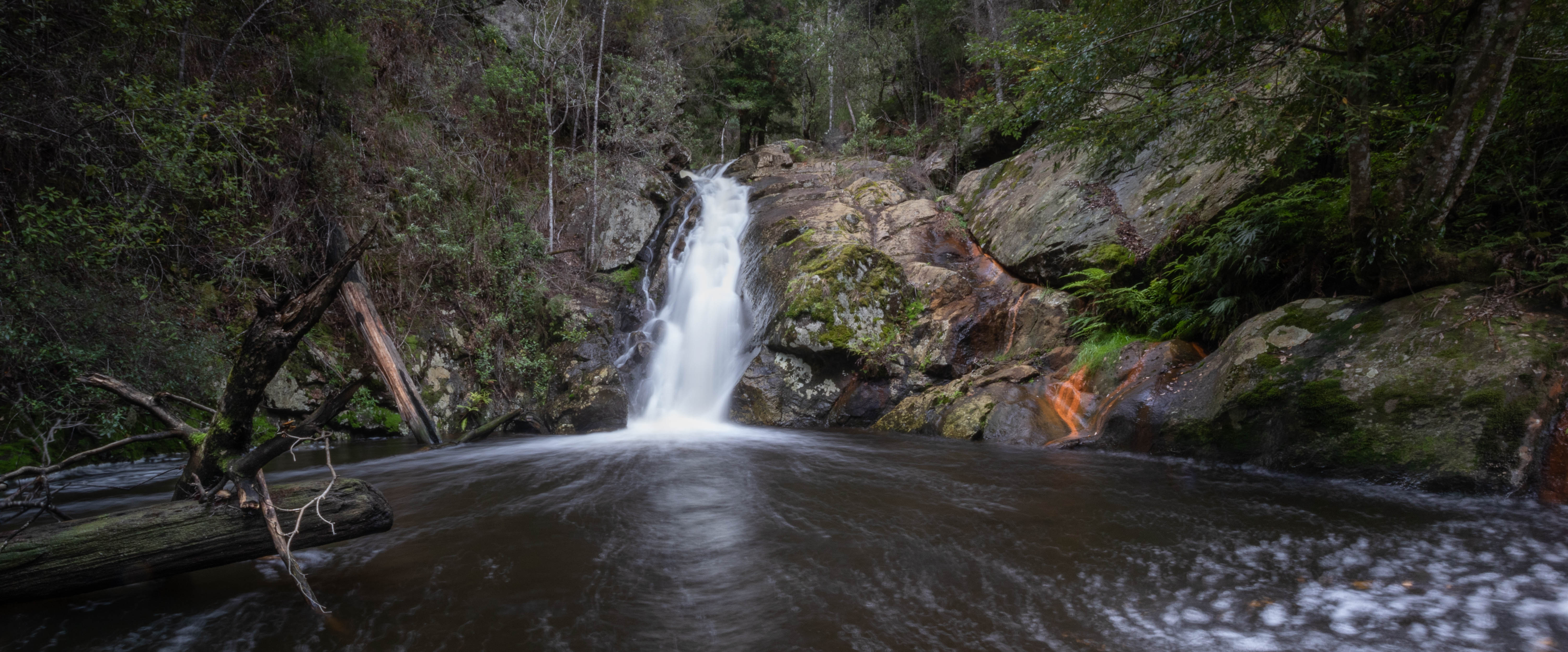 Holwell Gorge Falls