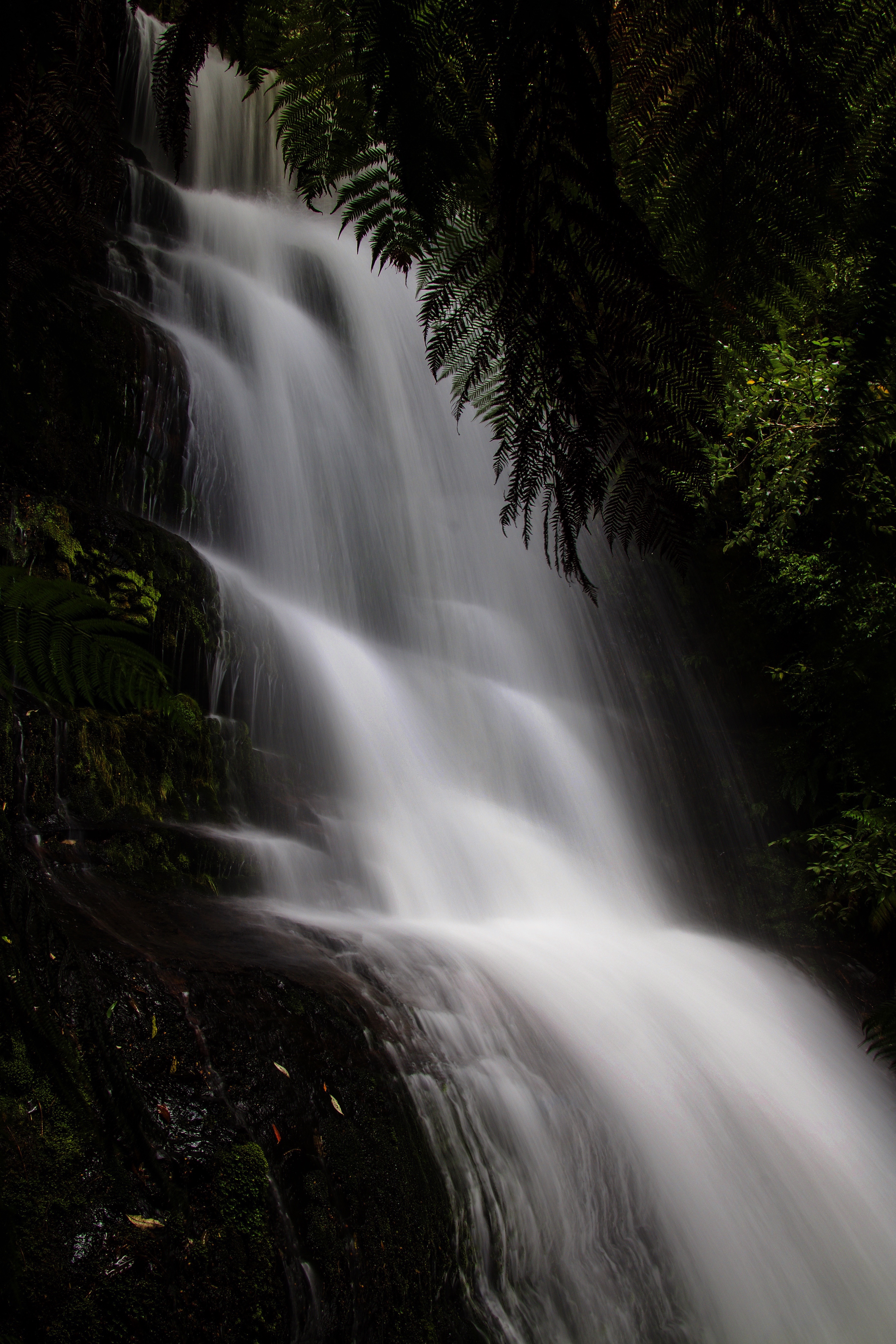 Crossing Falls