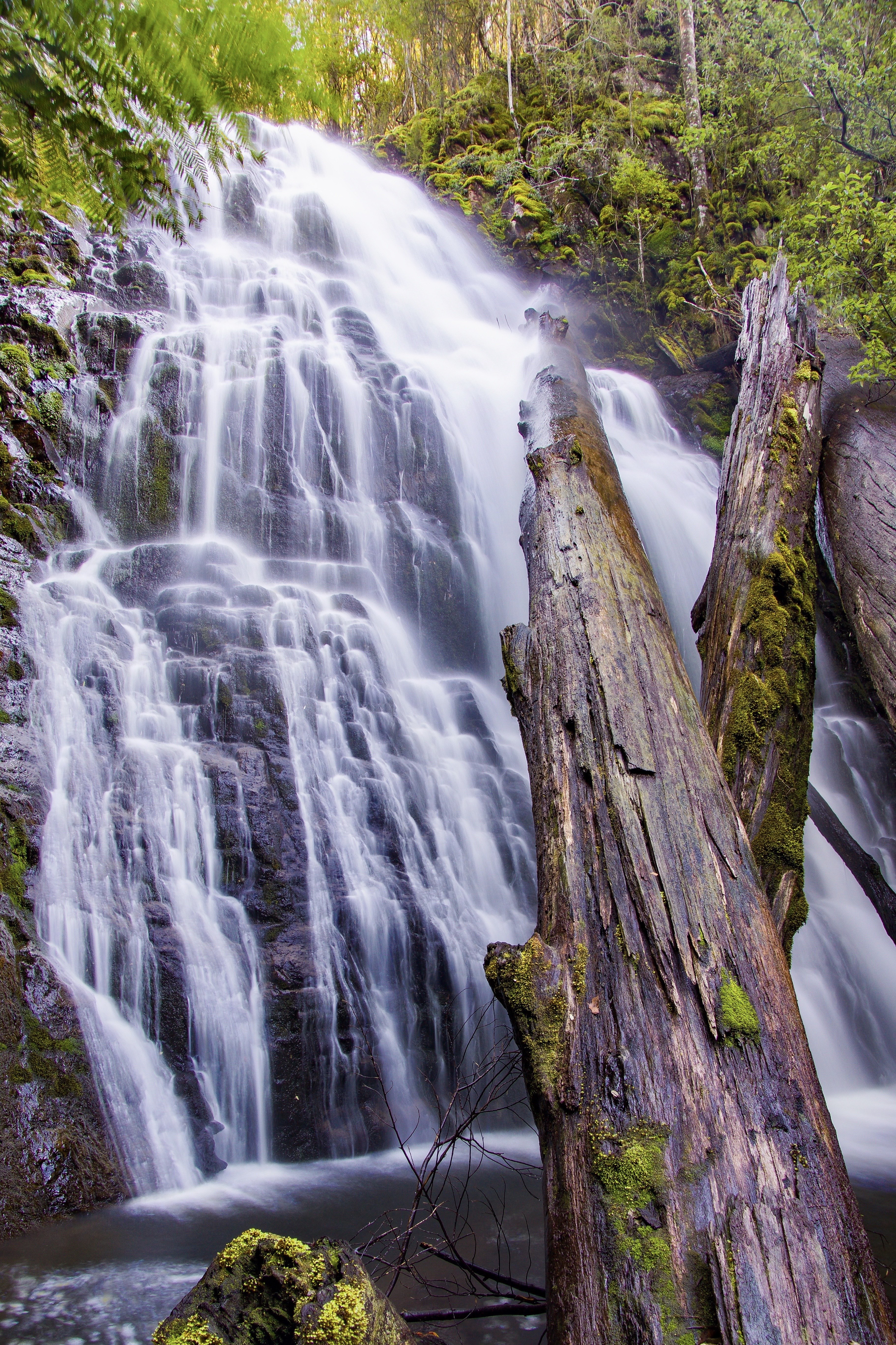 Diogenes Falls