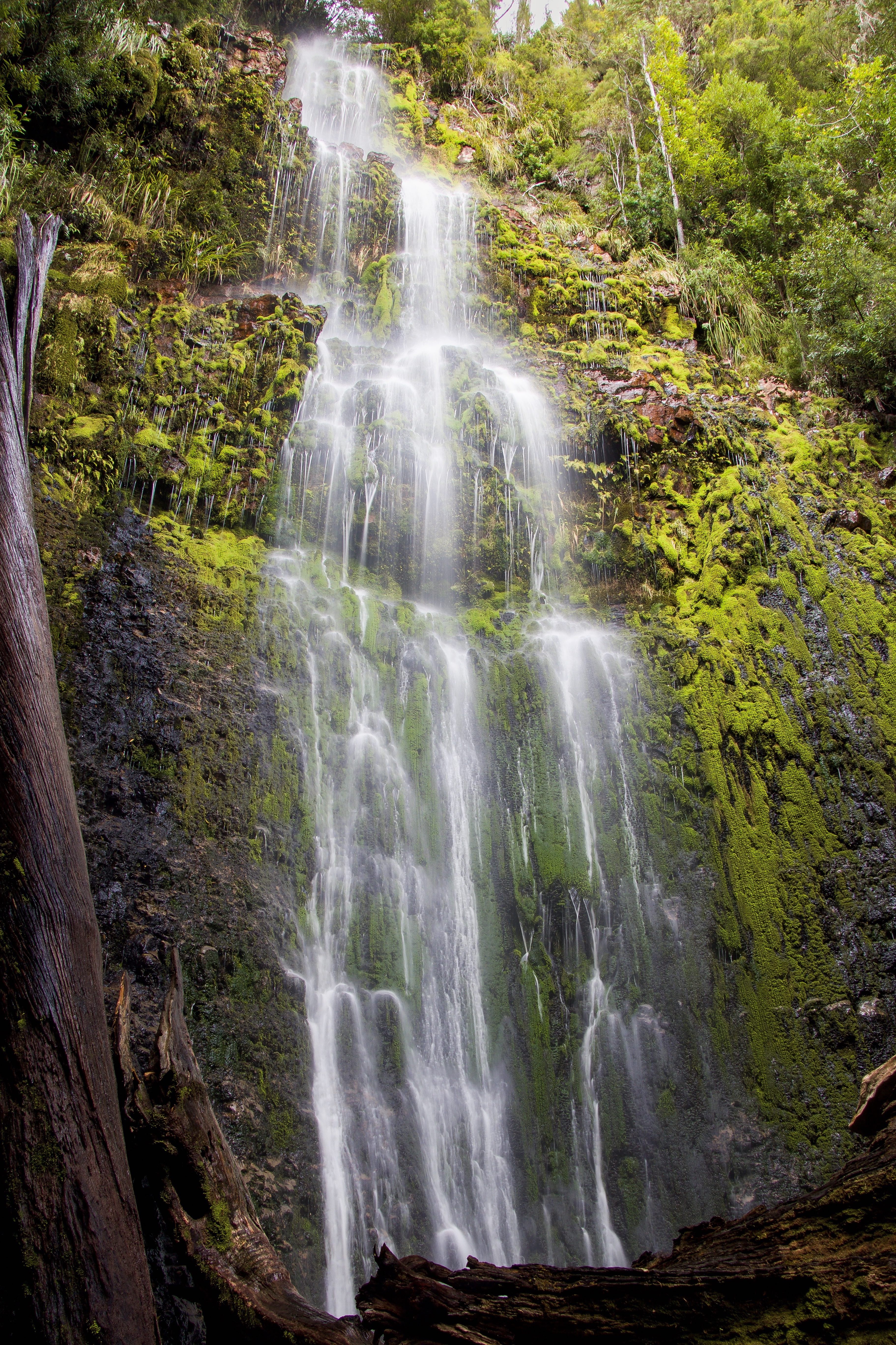 Catwalk Falls