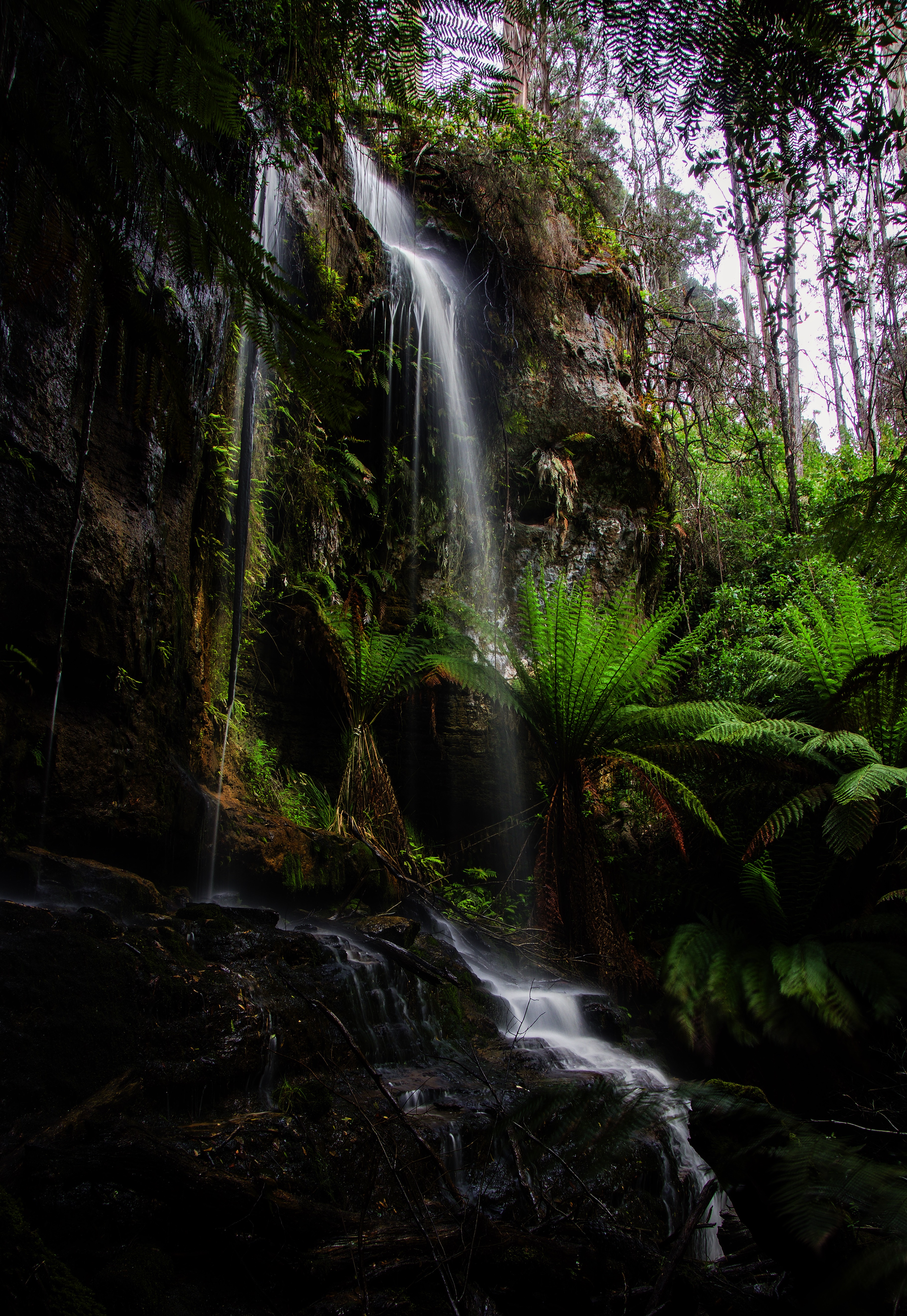 Wallaby Falls